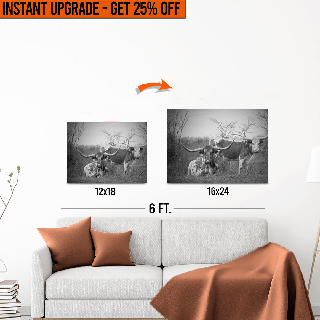 Upgrade Your 12x18 Inches 'Monochrome Texas Longhorn Cattle' Canvas to 16x24 Inches on sale at MyriadMart