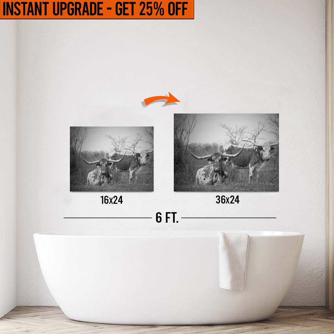 Upgrade Your 24x16 Inches 'Monochrome Texas Longhorn Cattle' Canvas To 36x24 Inches on sale at MyriadMart