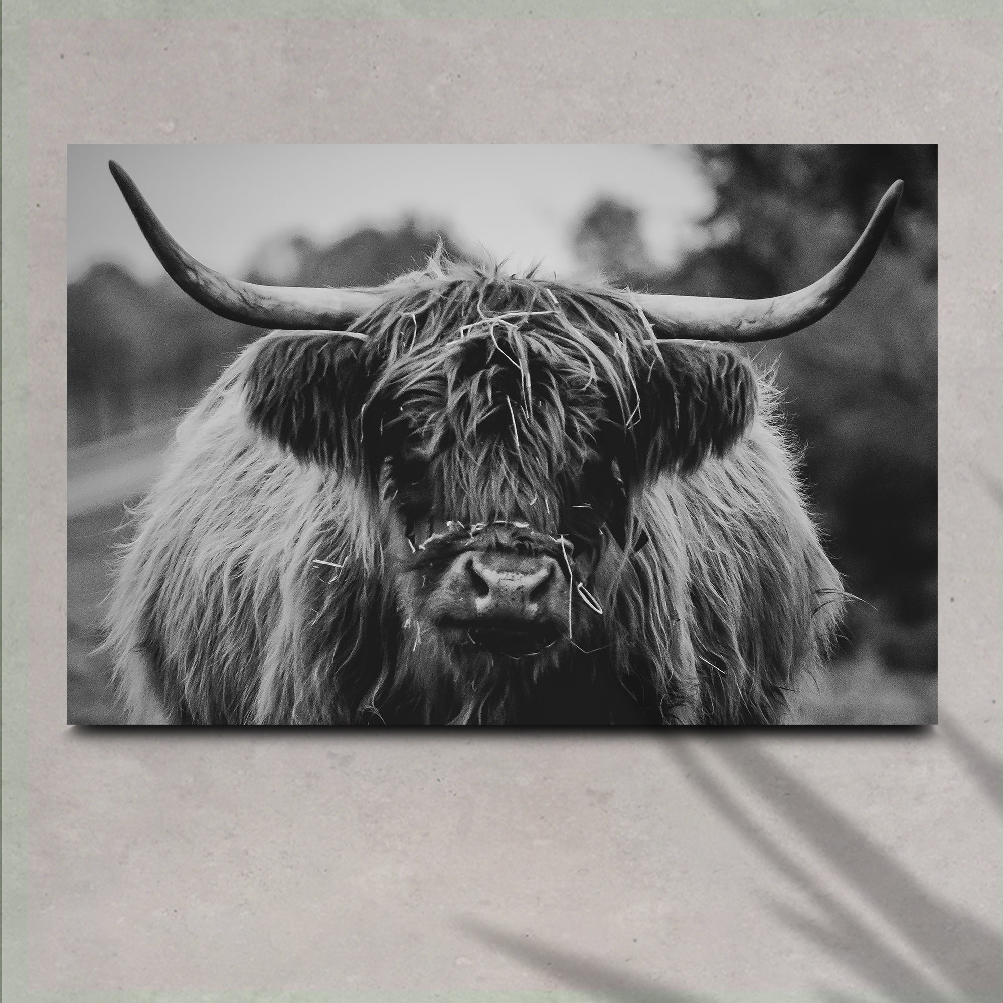 Highland Cow Rustic Gray Canvas Wall Art on sale at MyriadMart