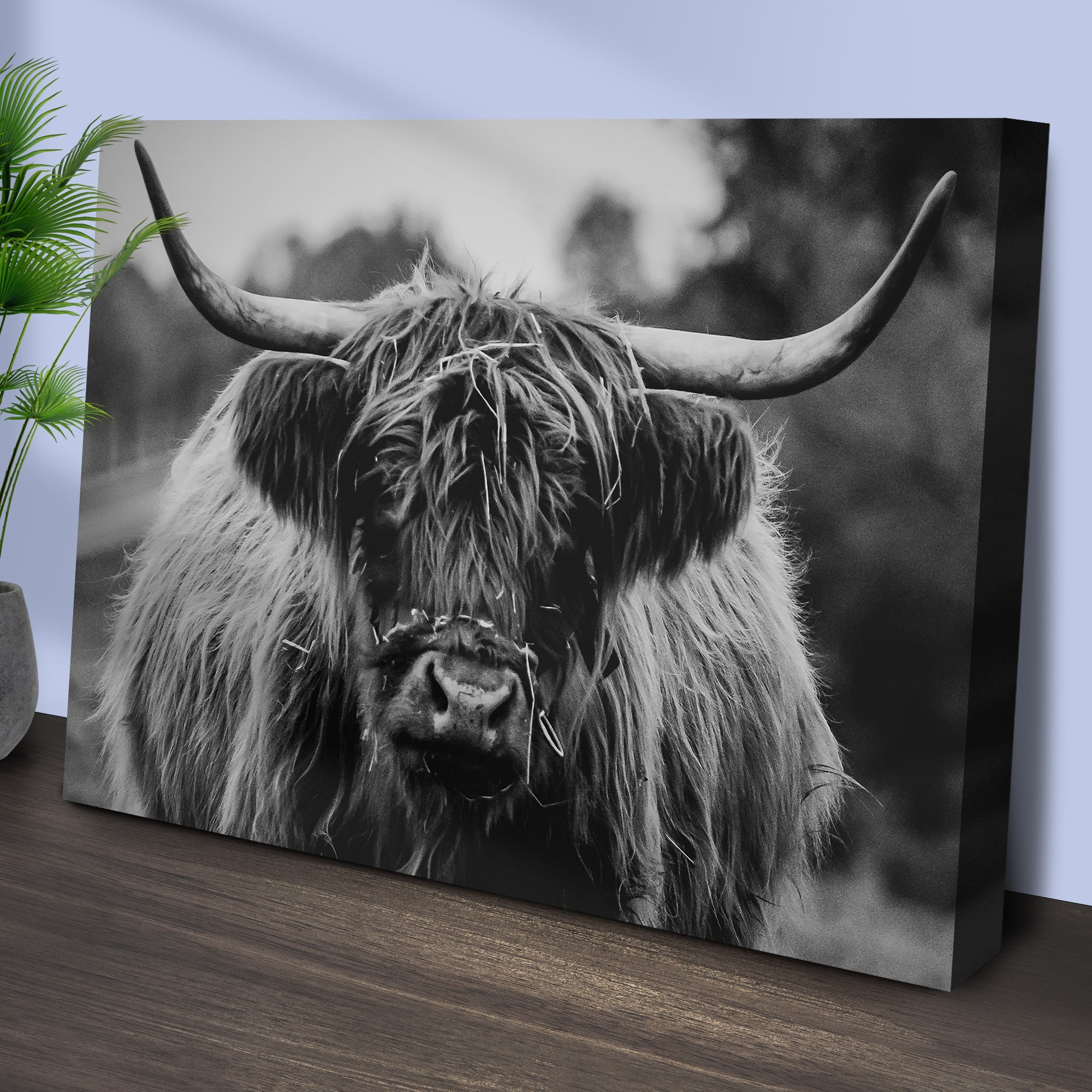 Highland Cow Rustic Gray Canvas Wall Art on sale at MyriadMart