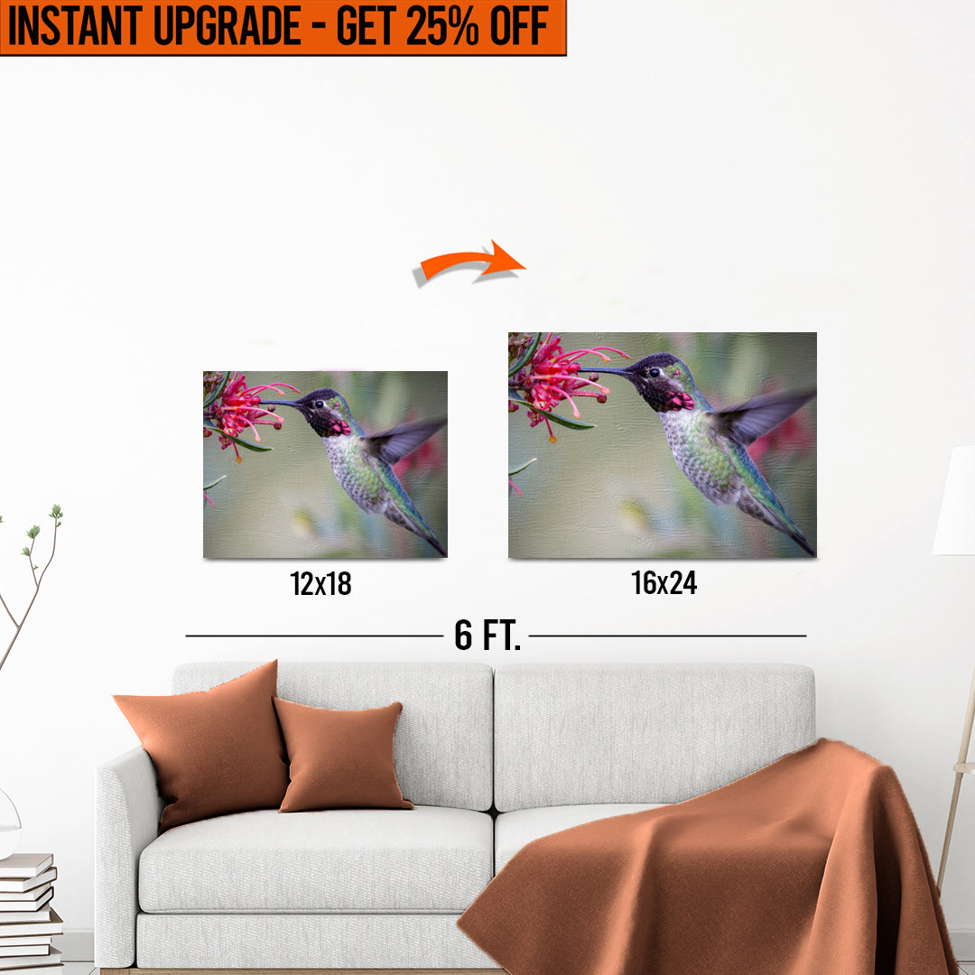 Upgrade Your 12x18 Inches 'Hummingbird Spring' Canvas to 16x24 Inches on sale at MyriadMart