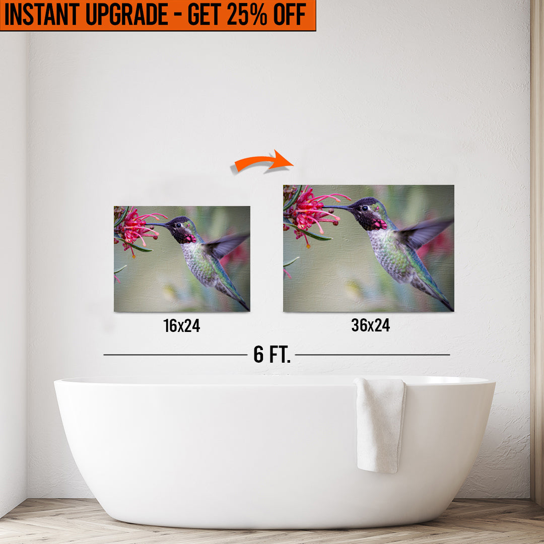 Upgrade Your 24x16 Inches 'Hummingbird Spring' Canvas To 36x24 Inches on sale at MyriadMart