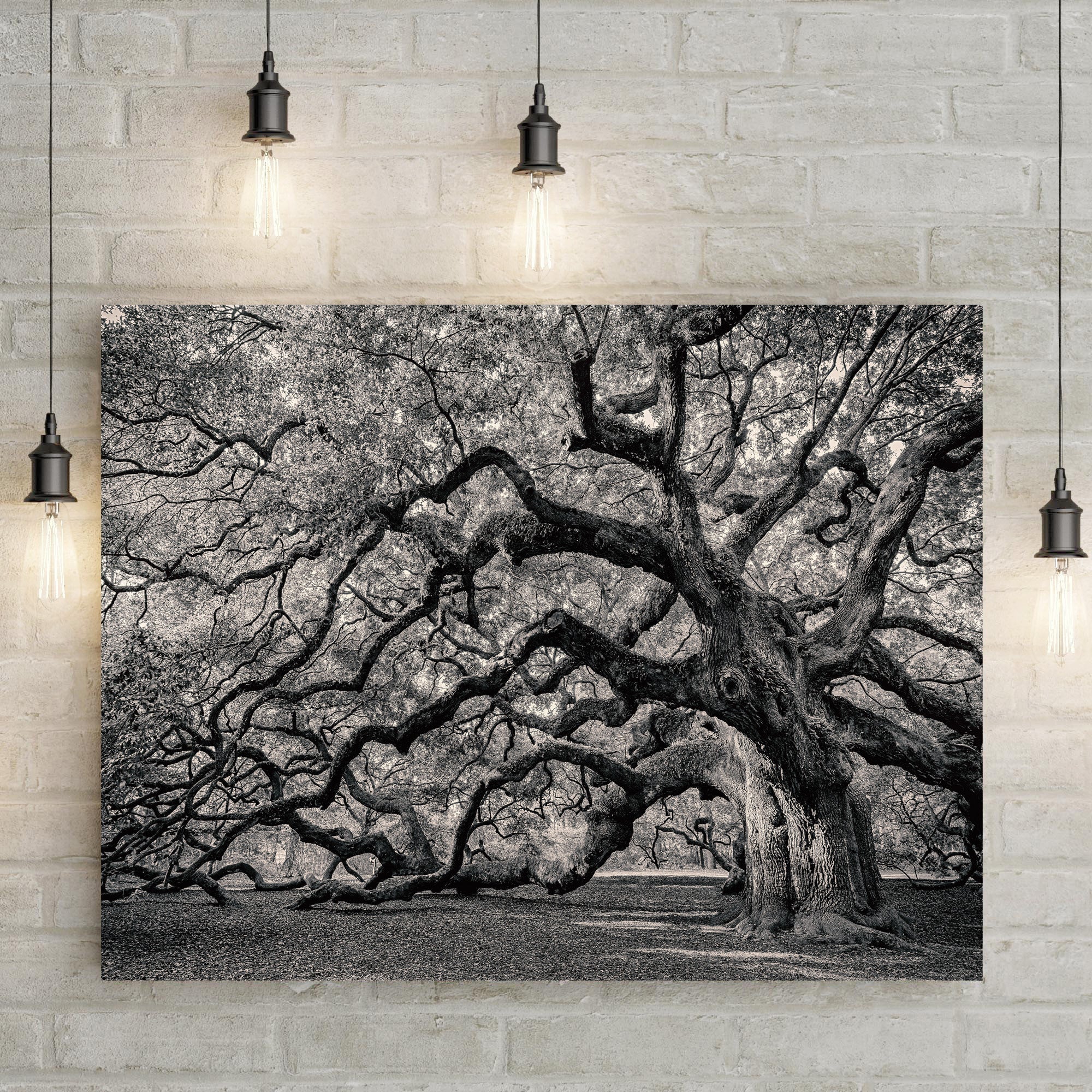 Monochrome Angel Oak Tree Canvas Wall Art on sale at MyriadMart