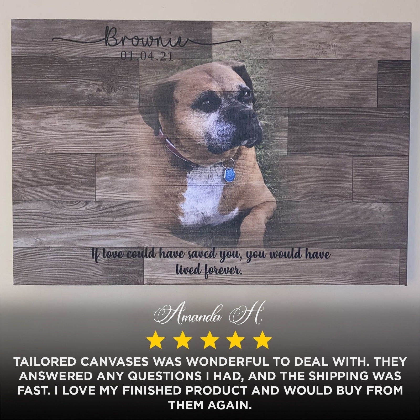 Wooden Animal Portrait Sign on sale at MyriadMart