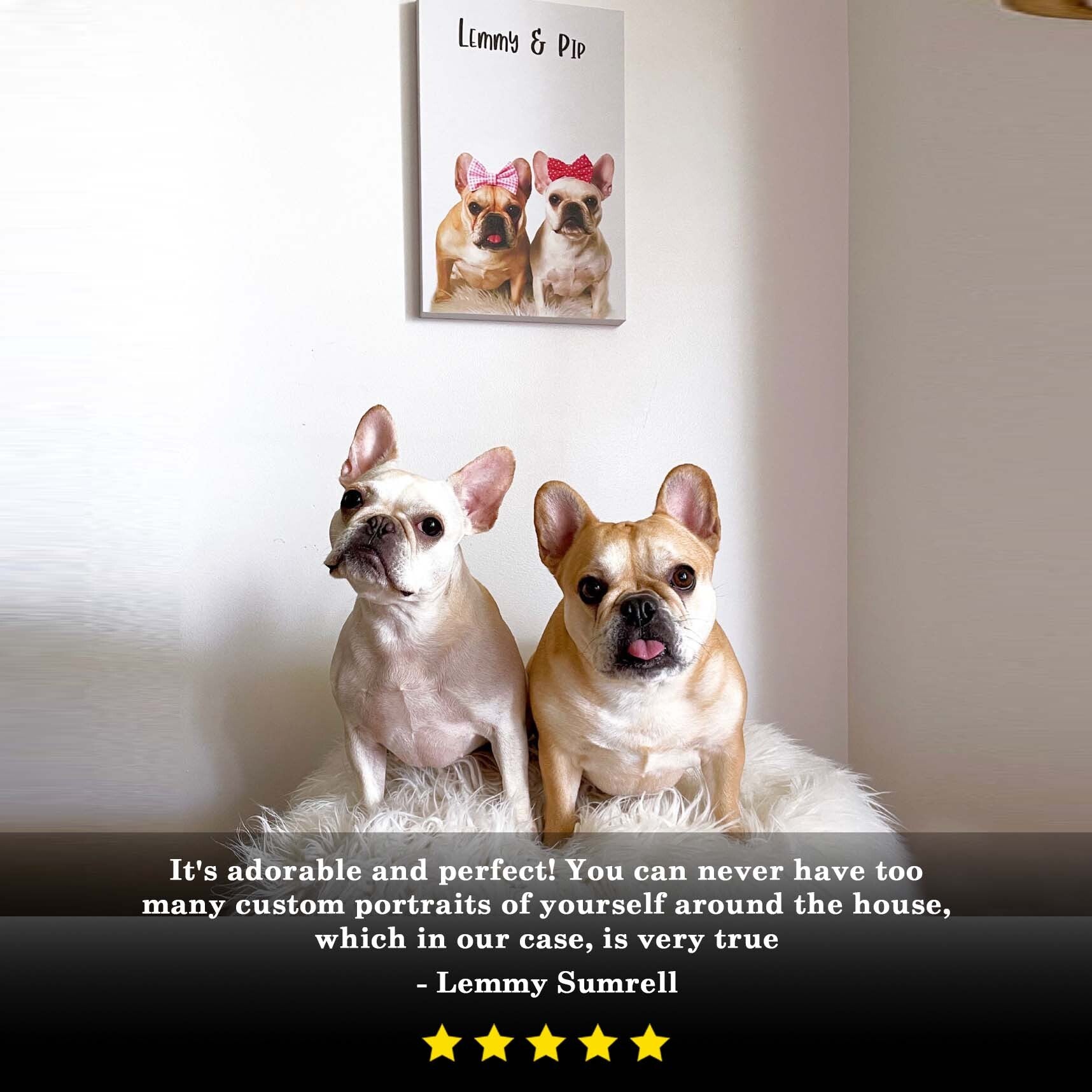 Pet Canvas Sign on sale at MyriadMart