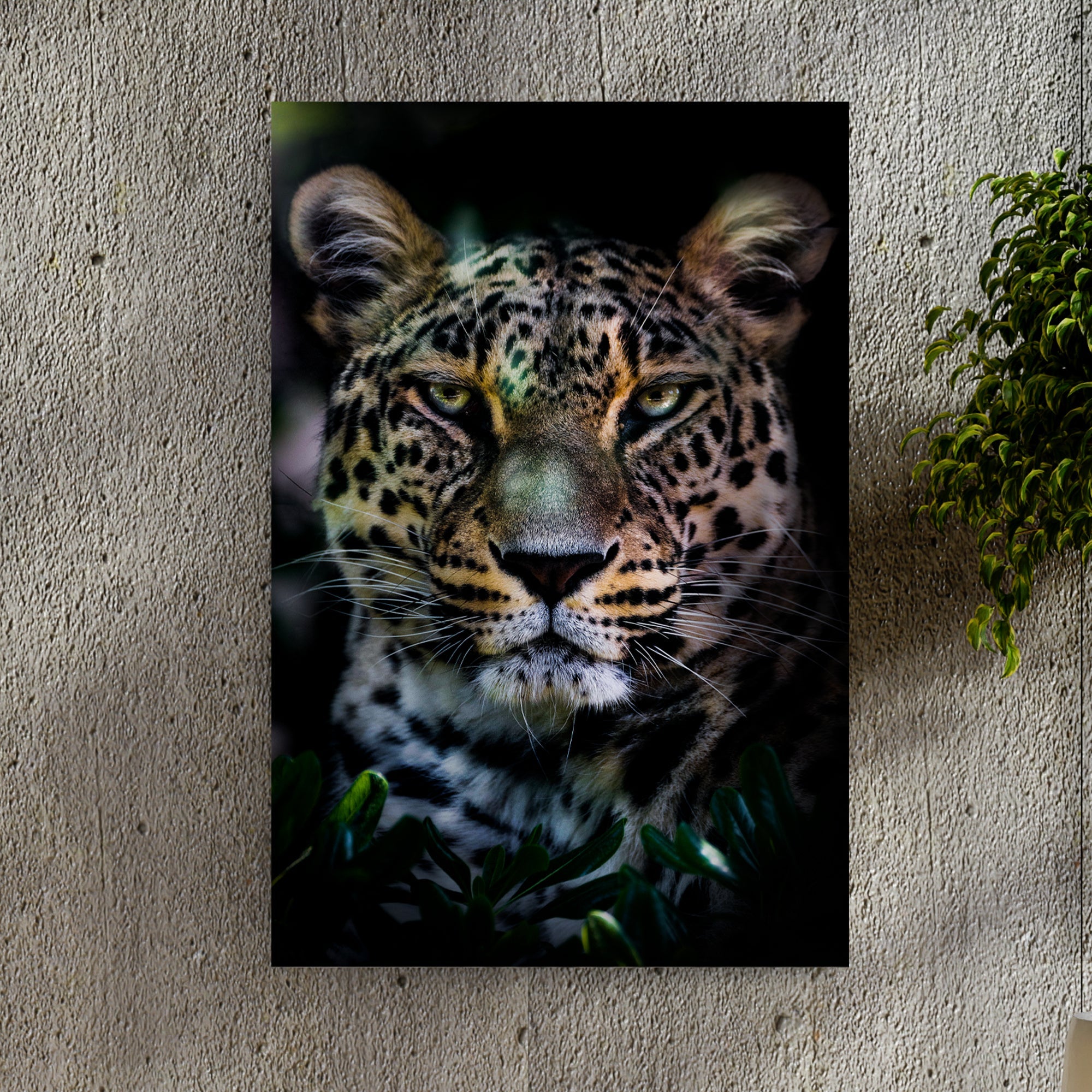 Sneaky Jungle Leopard Portrait Canvas Wall Art on sale at MyriadMart