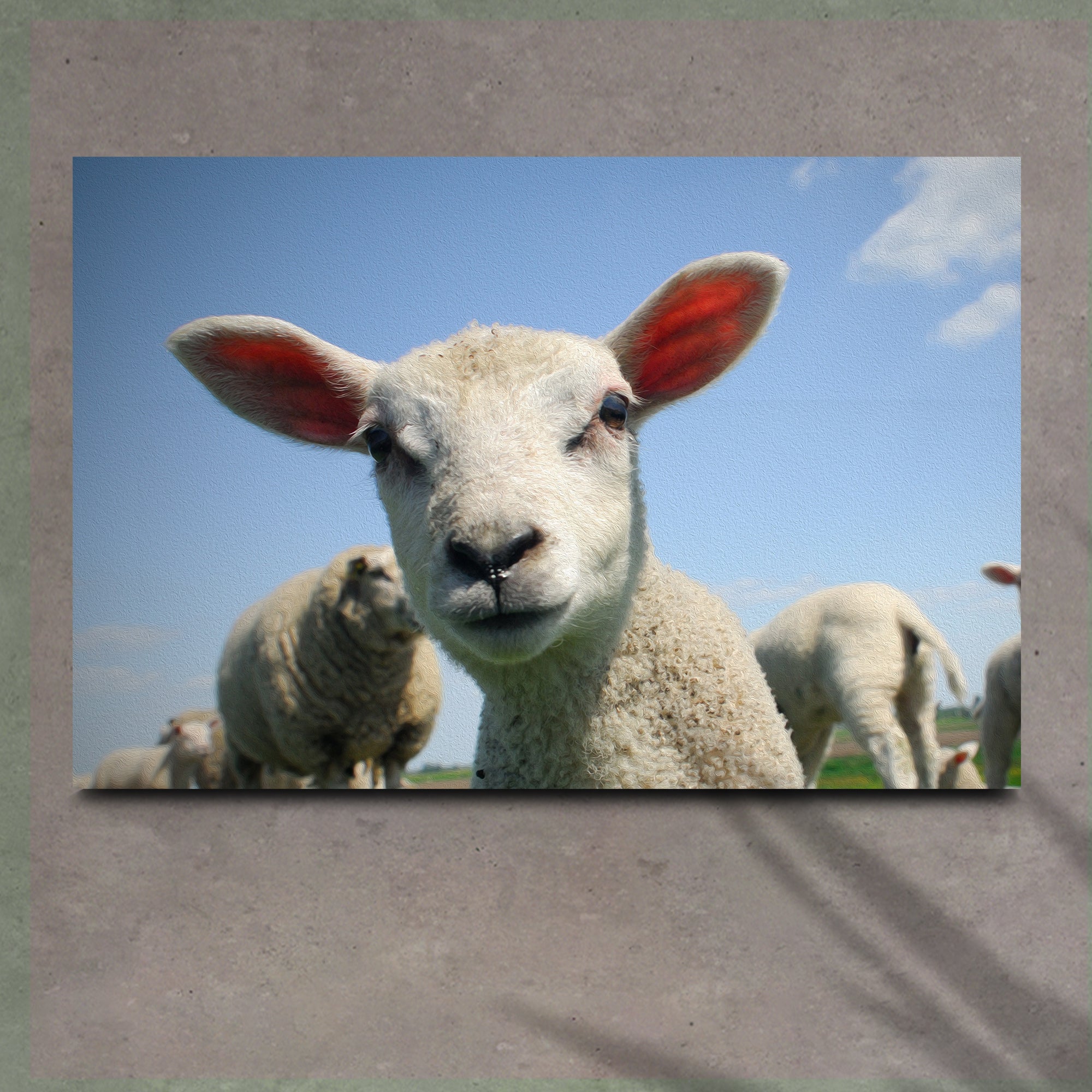 Curious Lamb Canvas Wall Art on sale at MyriadMart