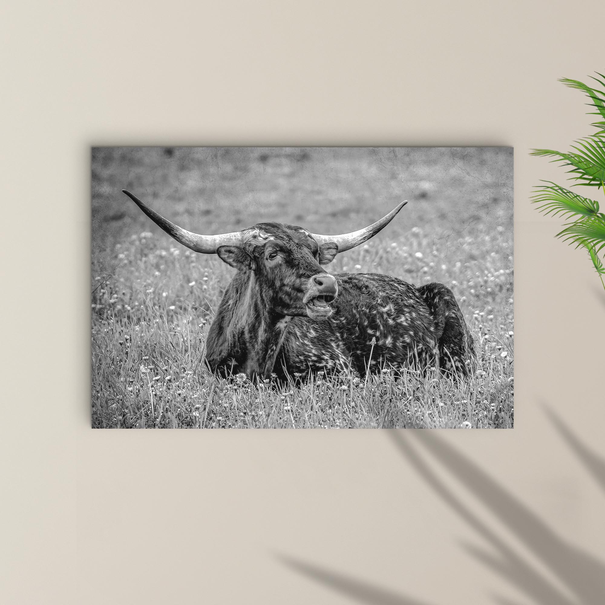 Black And White Longhorn Bull Canvas Wall Art on sale at MyriadMart