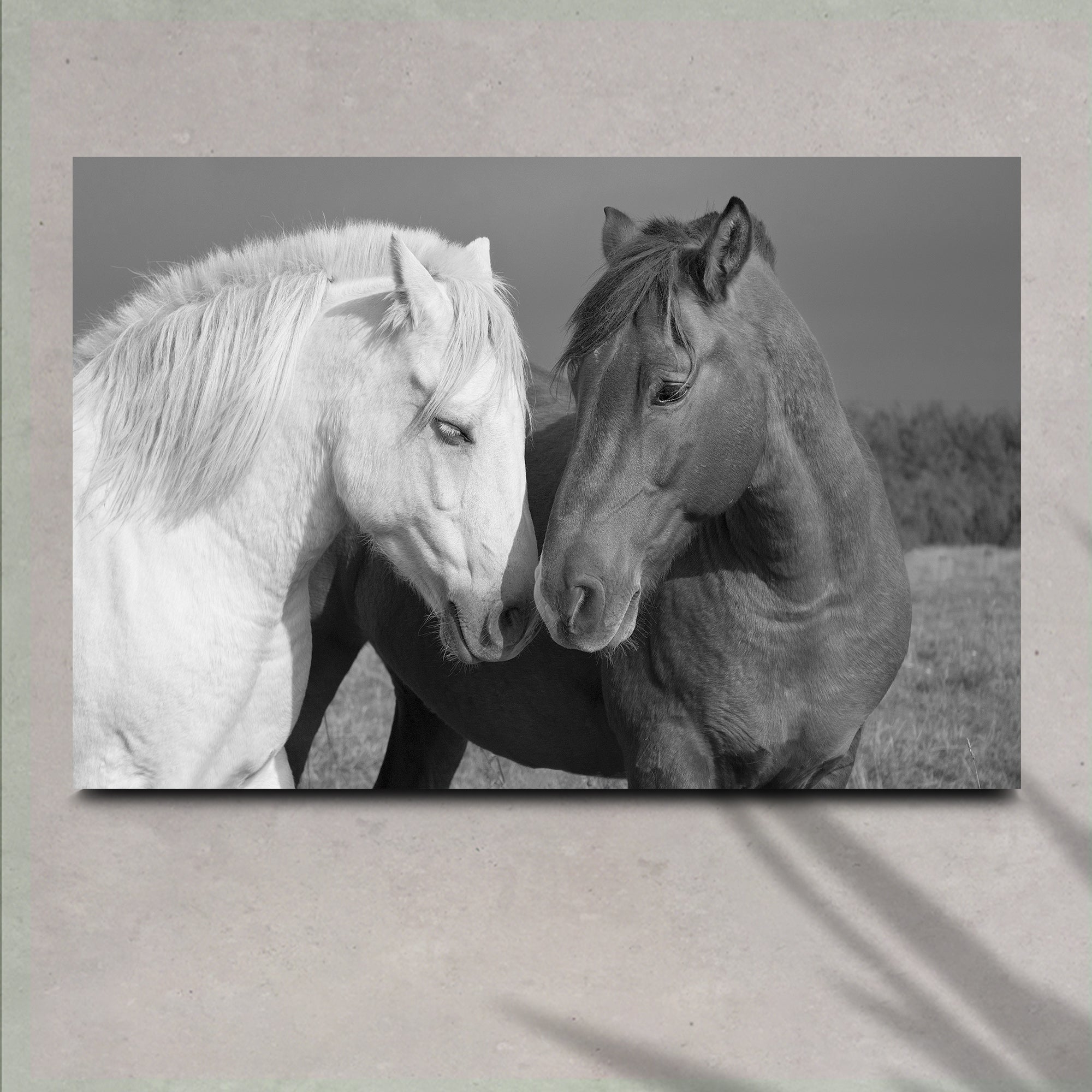 Horse Love Canvas Wall Art on sale at MyriadMart