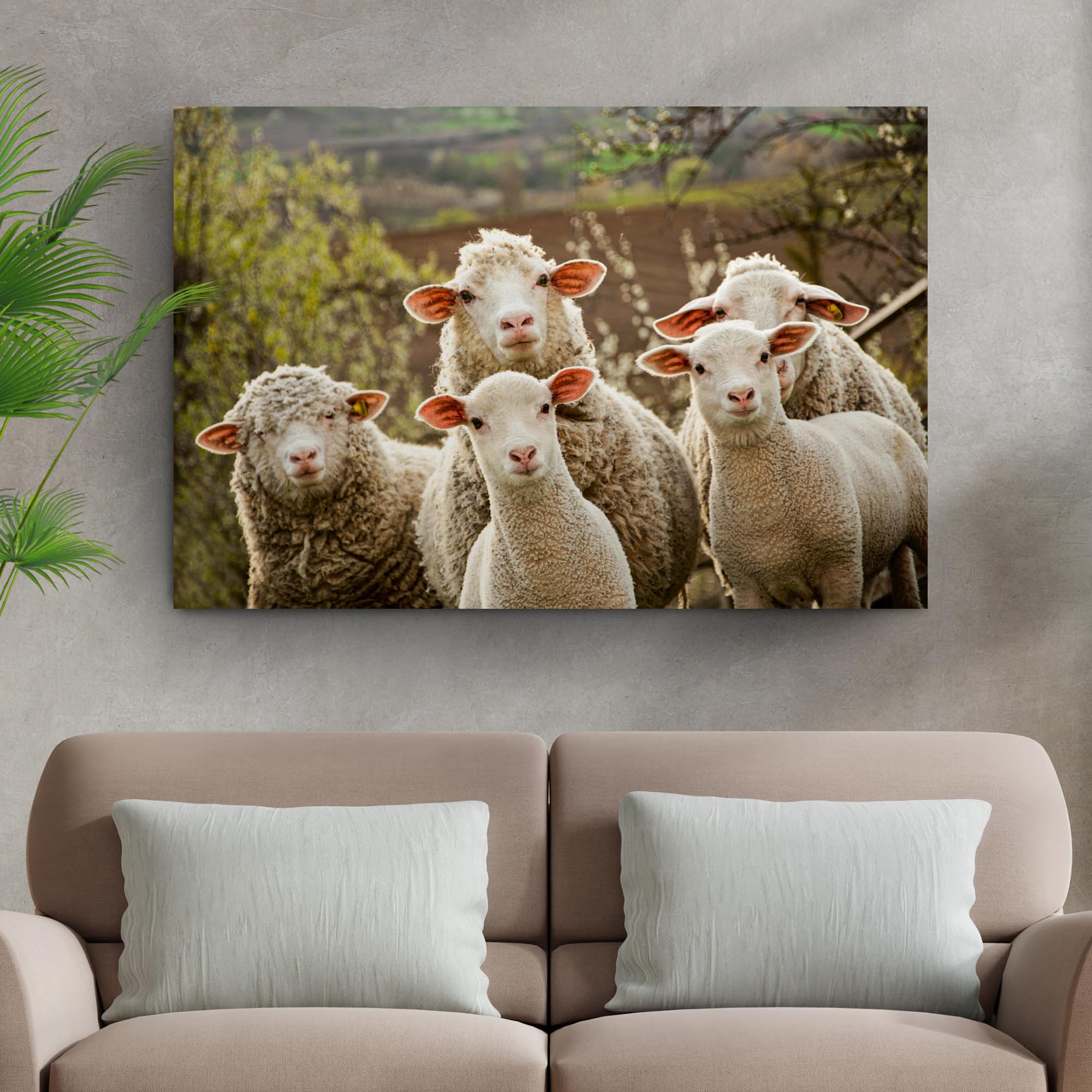 Curious Sheep Canvas Wall Art on sale at MyriadMart