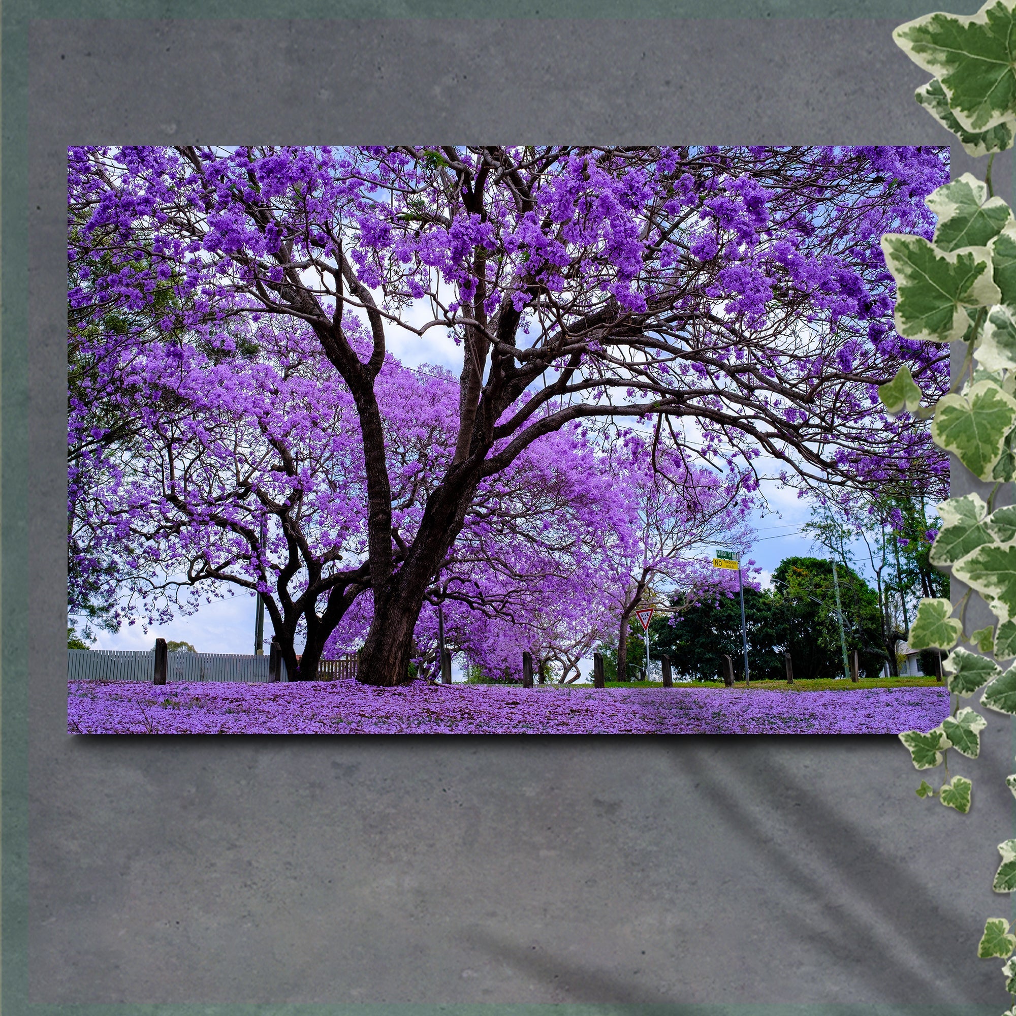 Jacaranda Trees Canvas Wall Art on sale at MyriadMart