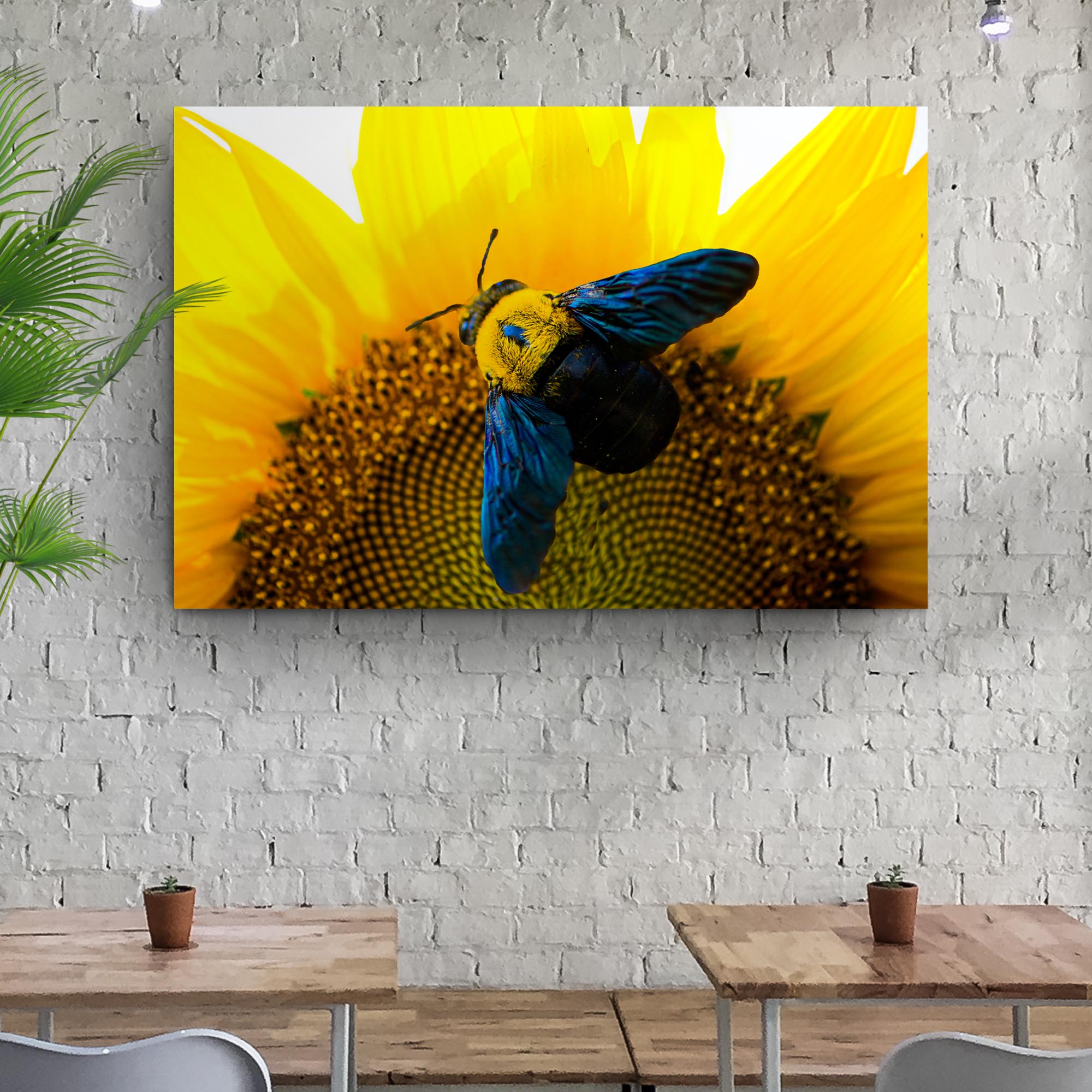 Bee Hoverfly Above A Sunflower Canvas Wall Art on sale at MyriadMart