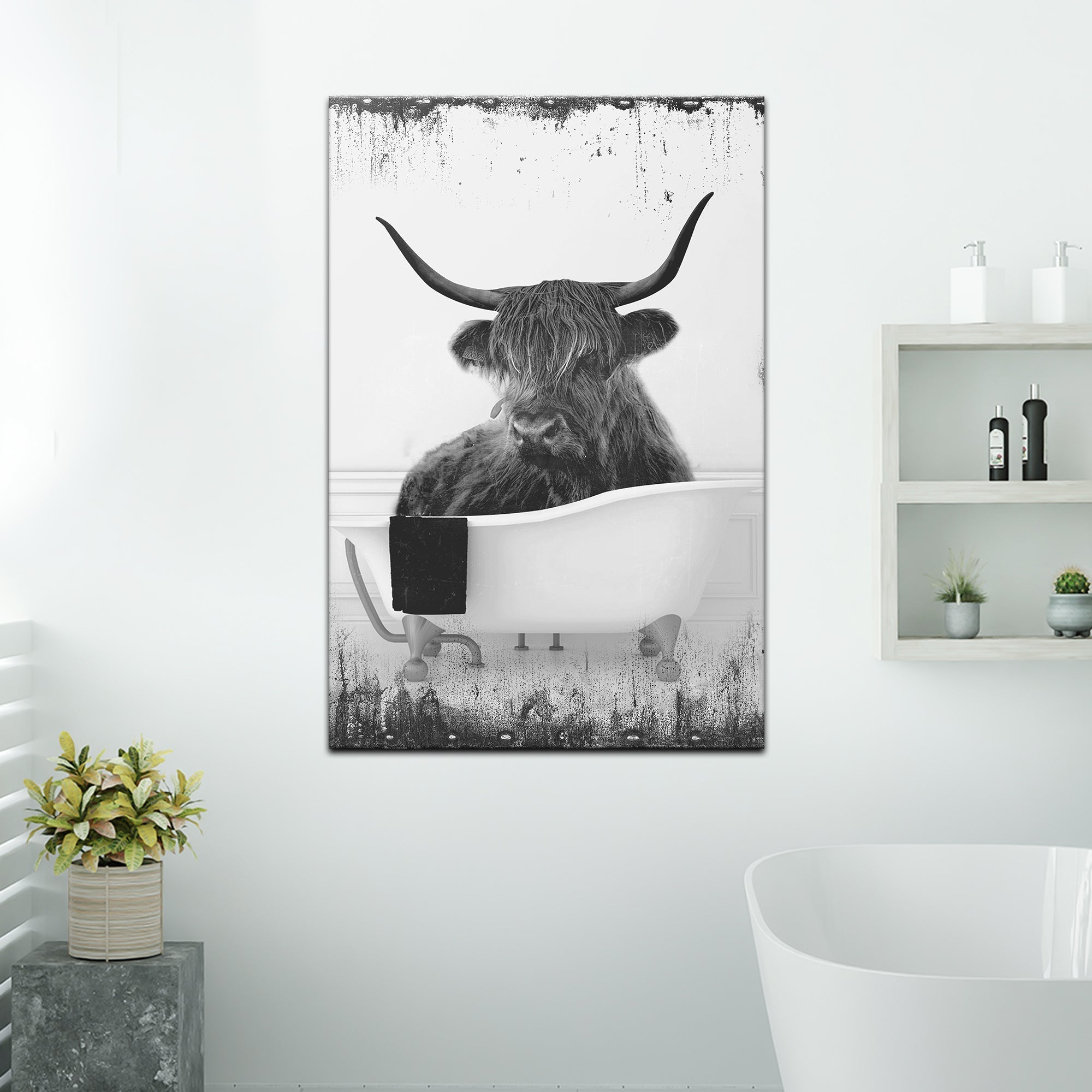 Highland Cattle Bath Canvas Wall Art II on sale at MyriadMart