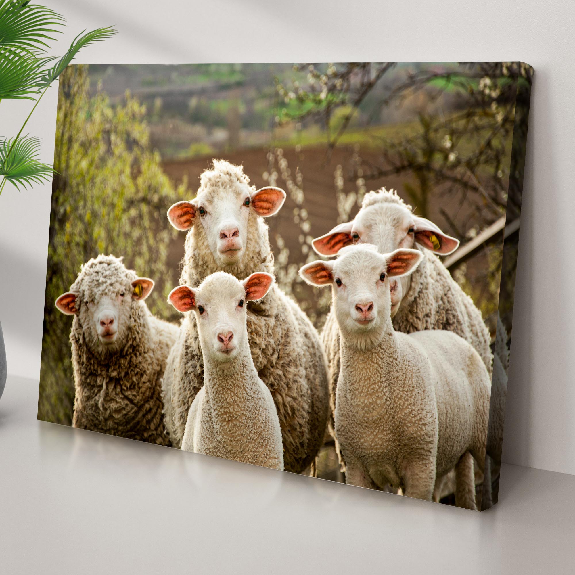 Curious Sheep Canvas Wall Art on sale at MyriadMart