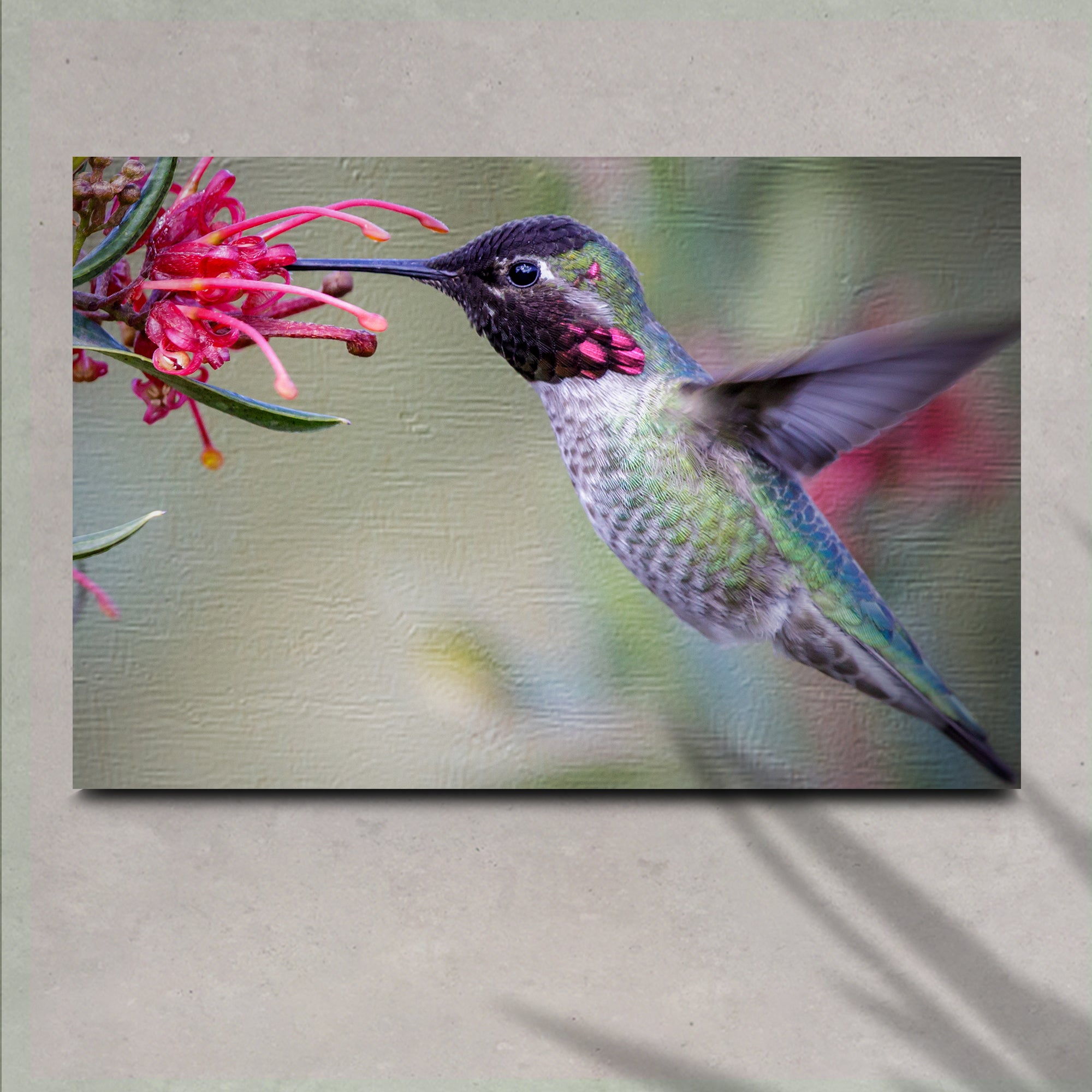 Hummingbird Spring Canvas Wall Art on sale at MyriadMart