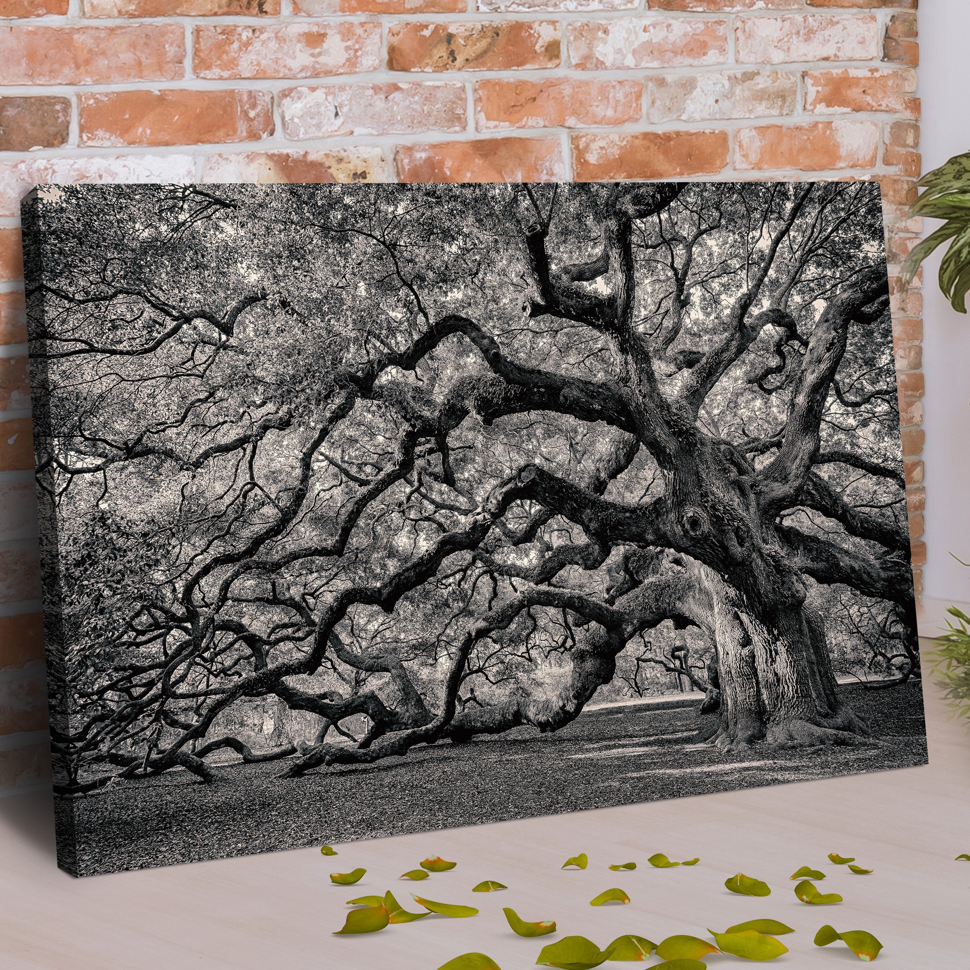 Monochrome Angel Oak Tree Canvas Wall Art on sale at MyriadMart