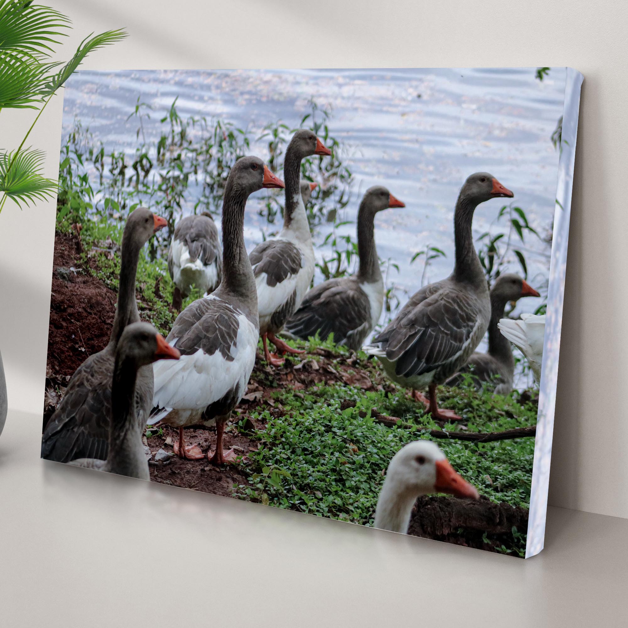 Flock Of Domestic Geese Canvas Wall Art on sale at MyriadMart