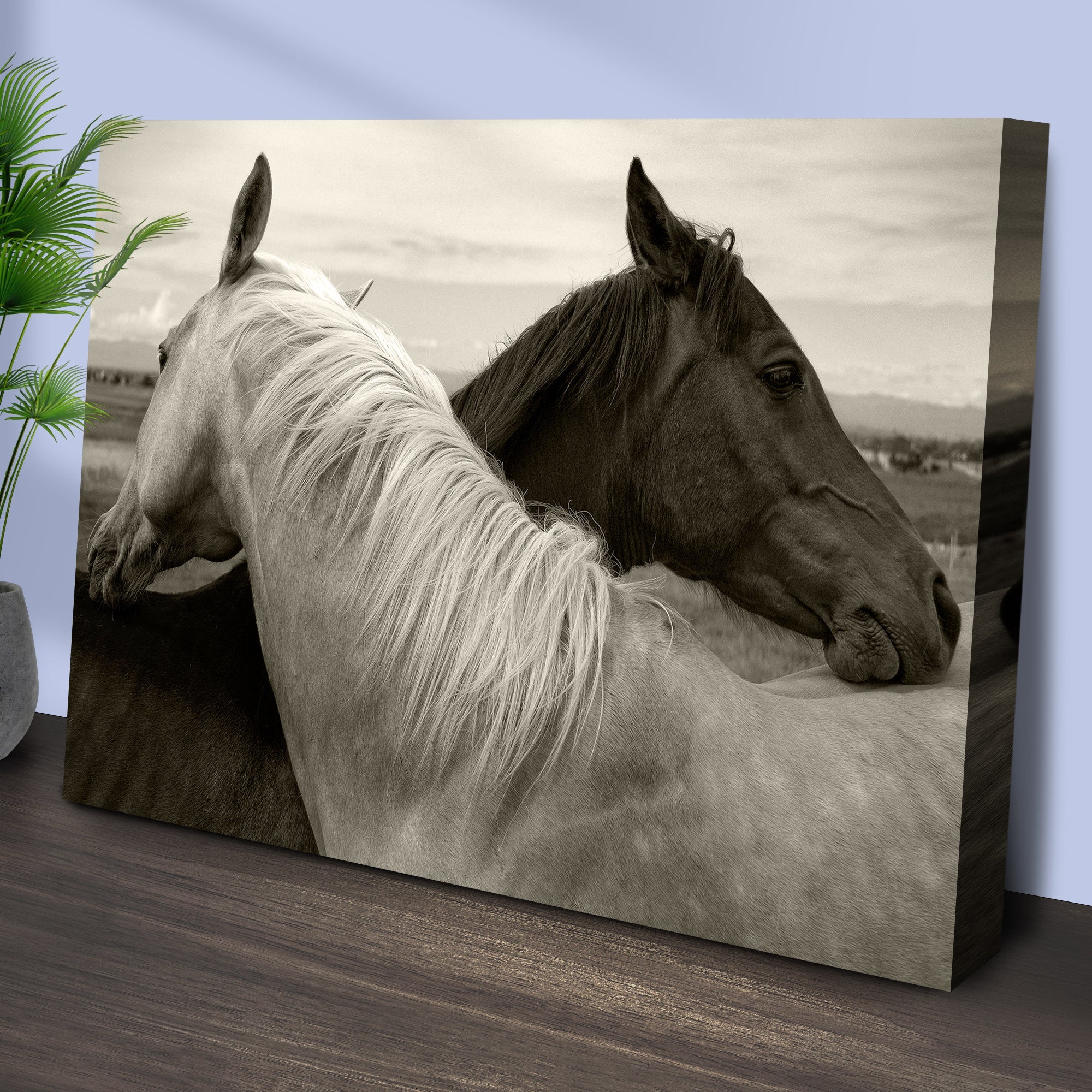 Monochrome Couple Horse Canvas Wall Art on sale at MyriadMart