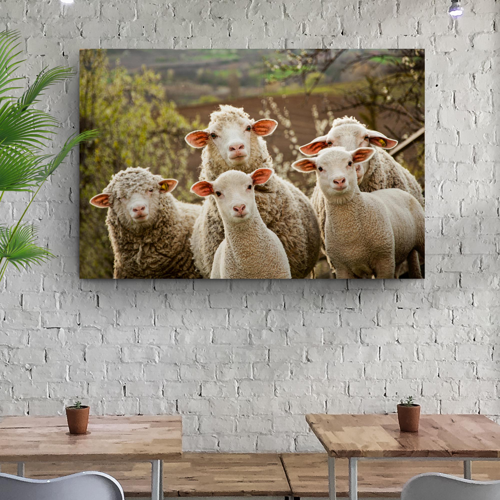 Curious Sheep Canvas Wall Art on sale at MyriadMart
