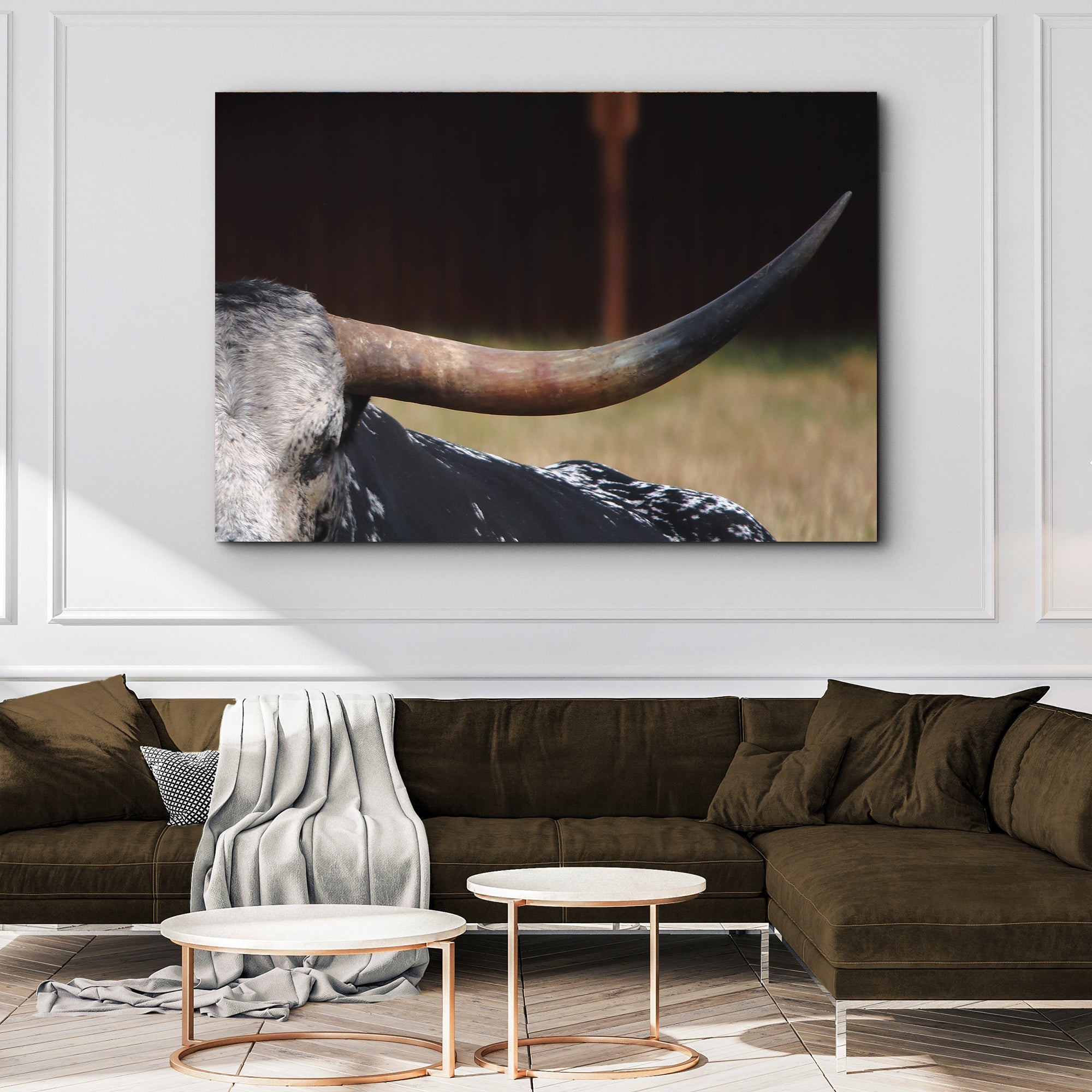 Focused Longhorn Cattle Canvas Wall Art on sale at MyriadMart