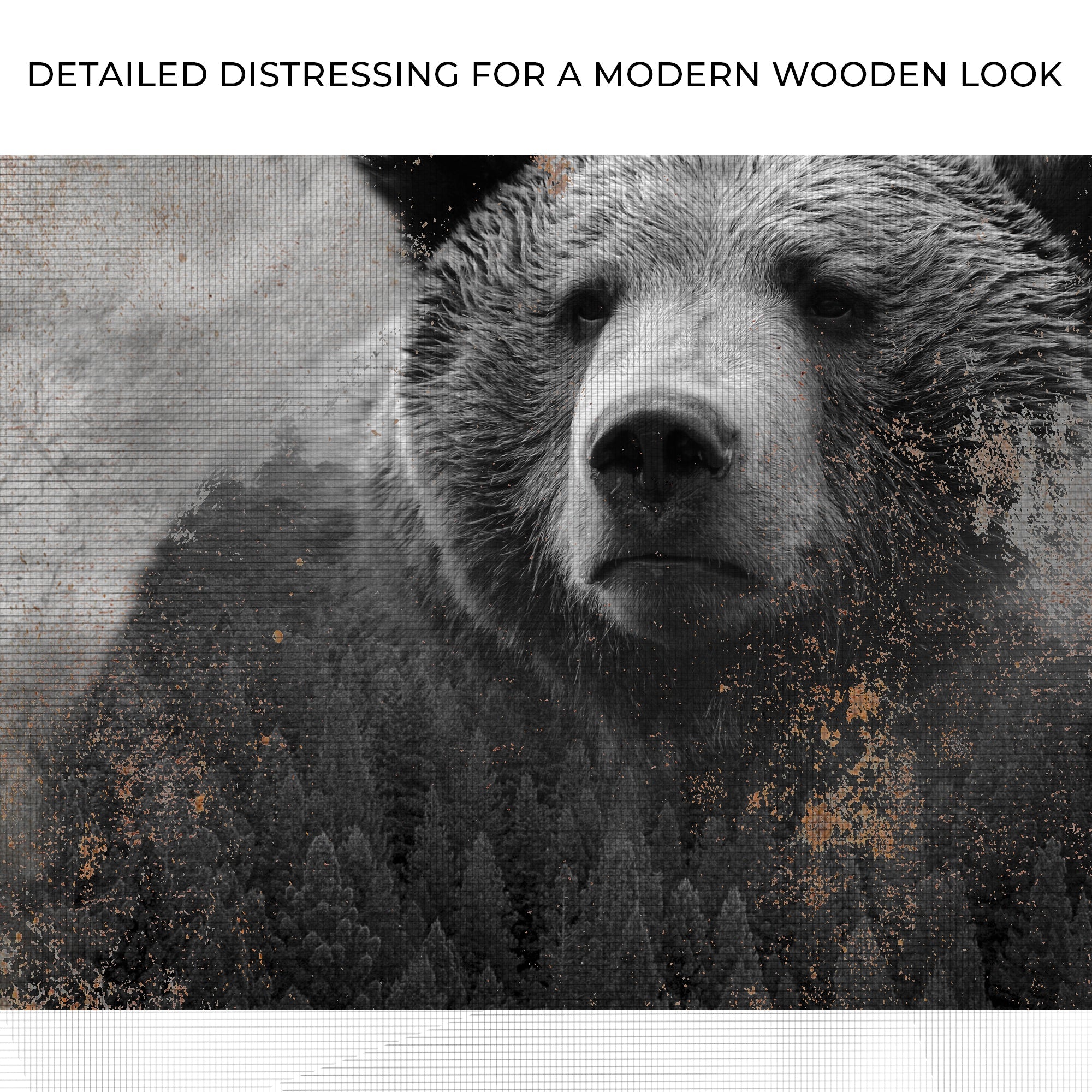 Animals Forest Bear Brown Canvas Wall Art on sale at MyriadMart