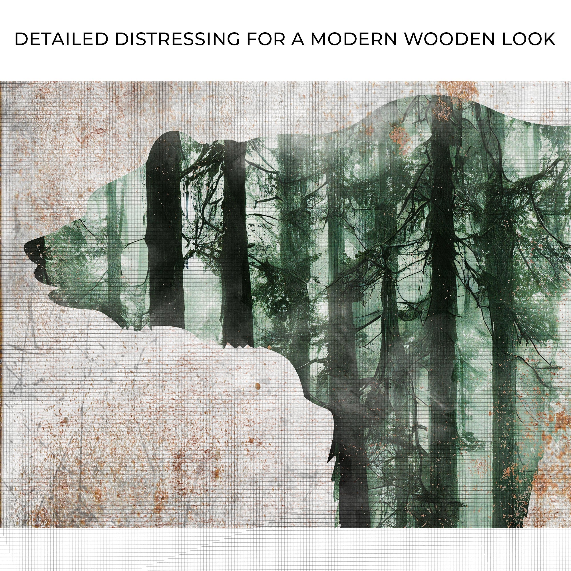 Animals Forest Bear Birch Canvas Wall Art on sale at MyriadMart