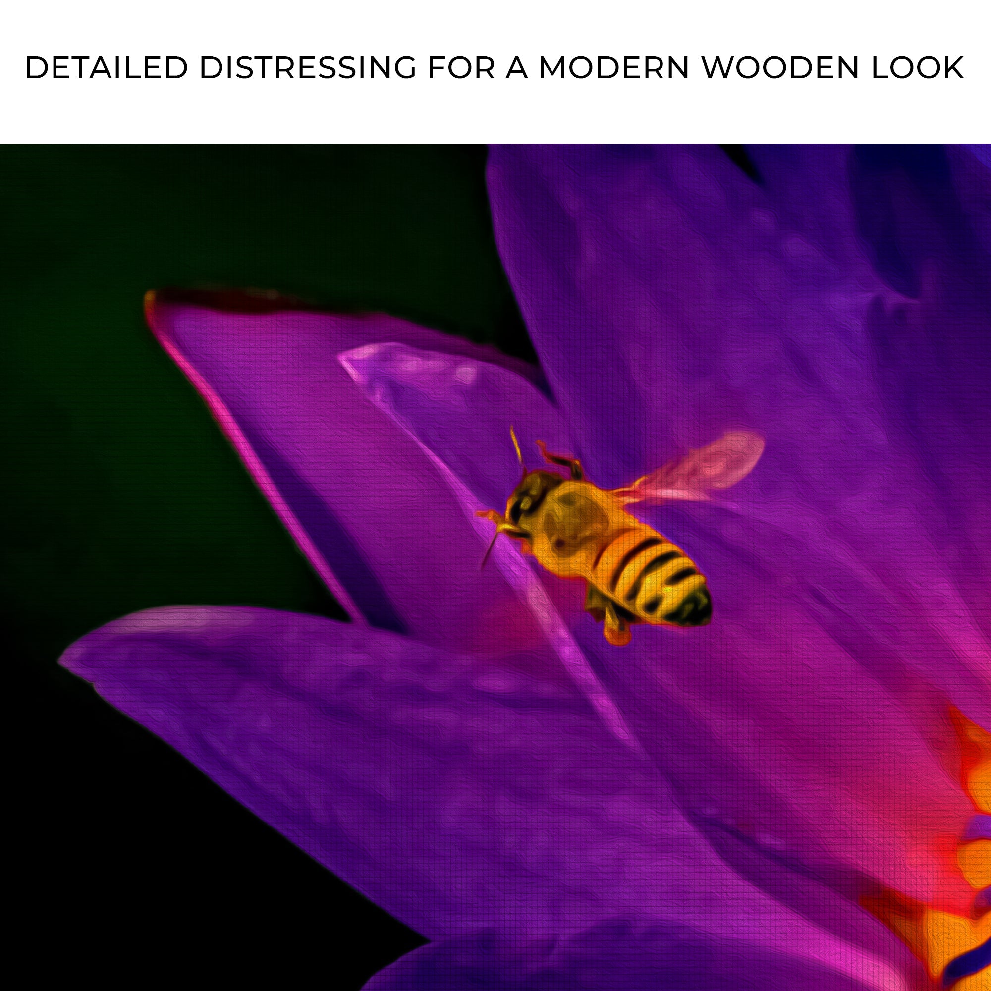 Dramatic Bee On Purple Flower Canvas Wall Art on sale at MyriadMart