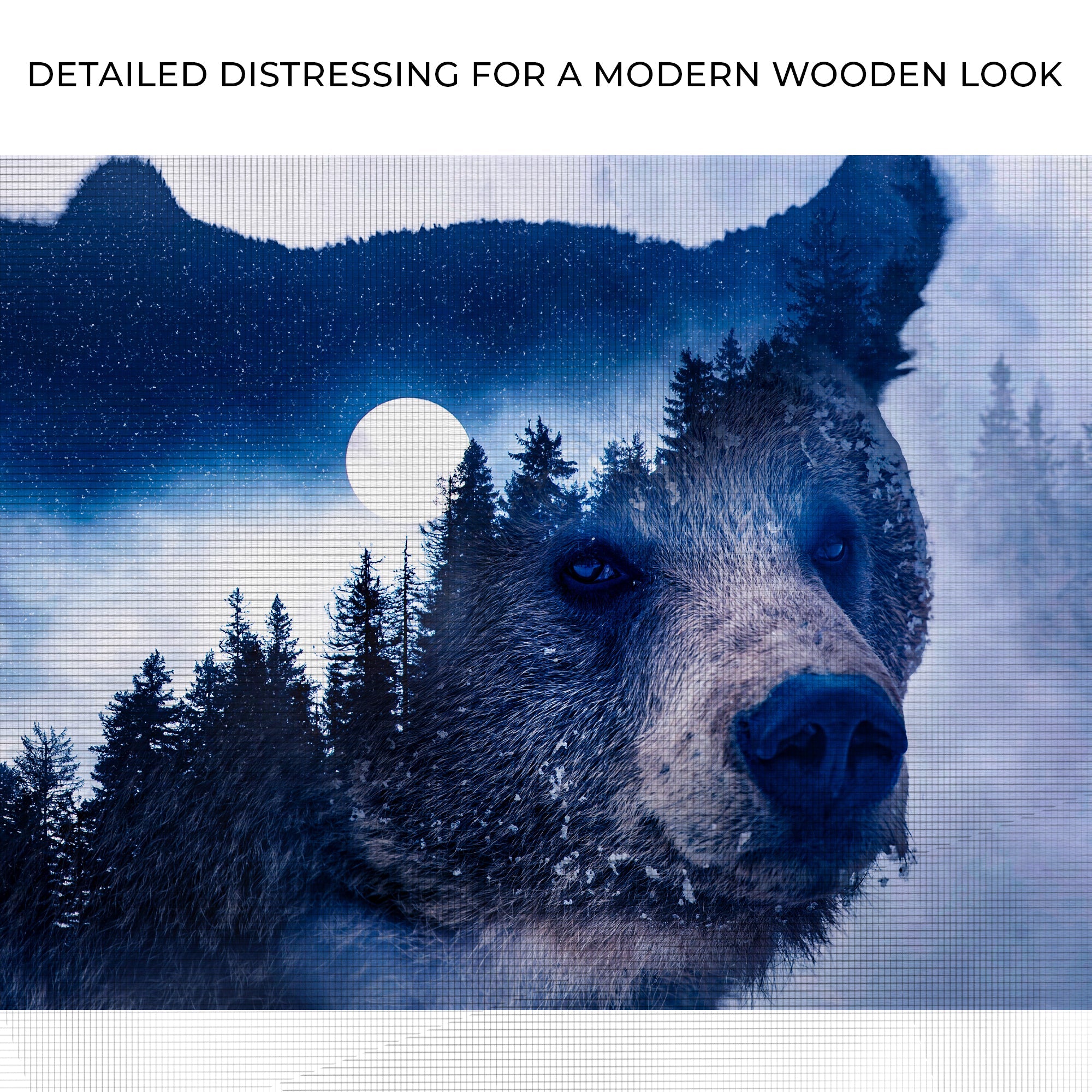 Animals Forest Bear Illustration Canvas Wall Art II on sale at MyriadMart