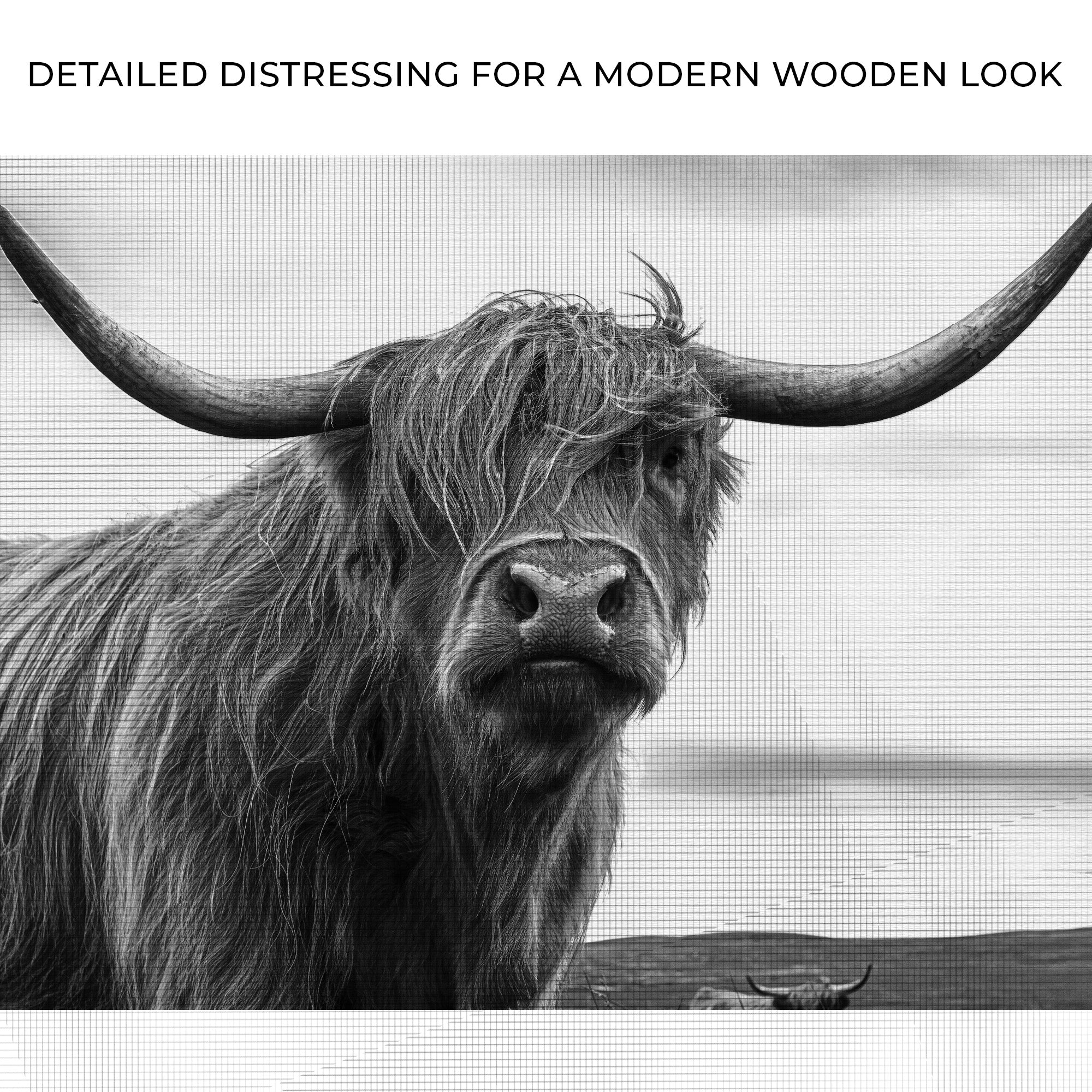 Highland Cow Black And White Portrait Canvas Wall Art on sale at MyriadMart