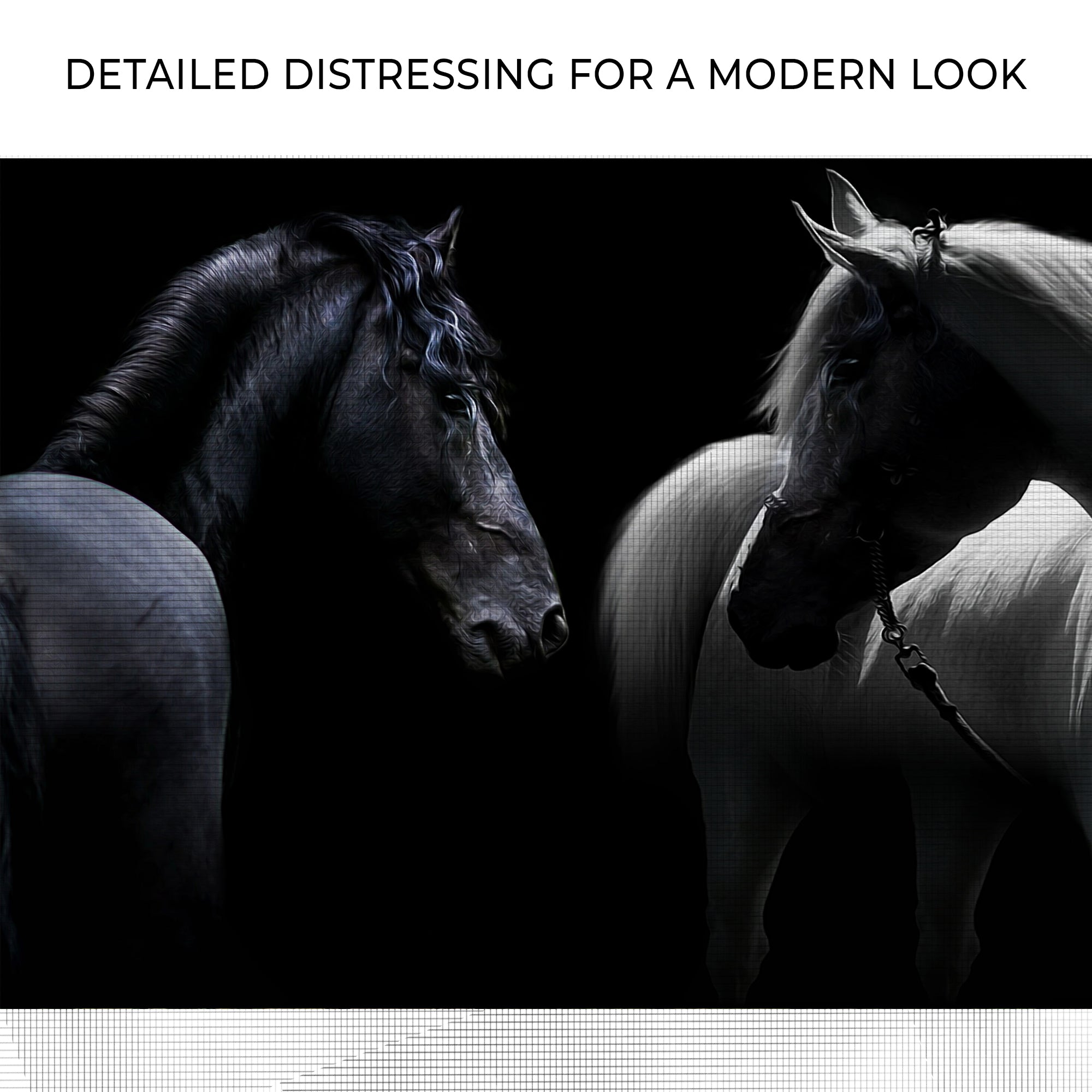 Monochromatic Horses Canvas Wall Art on sale at MyriadMart