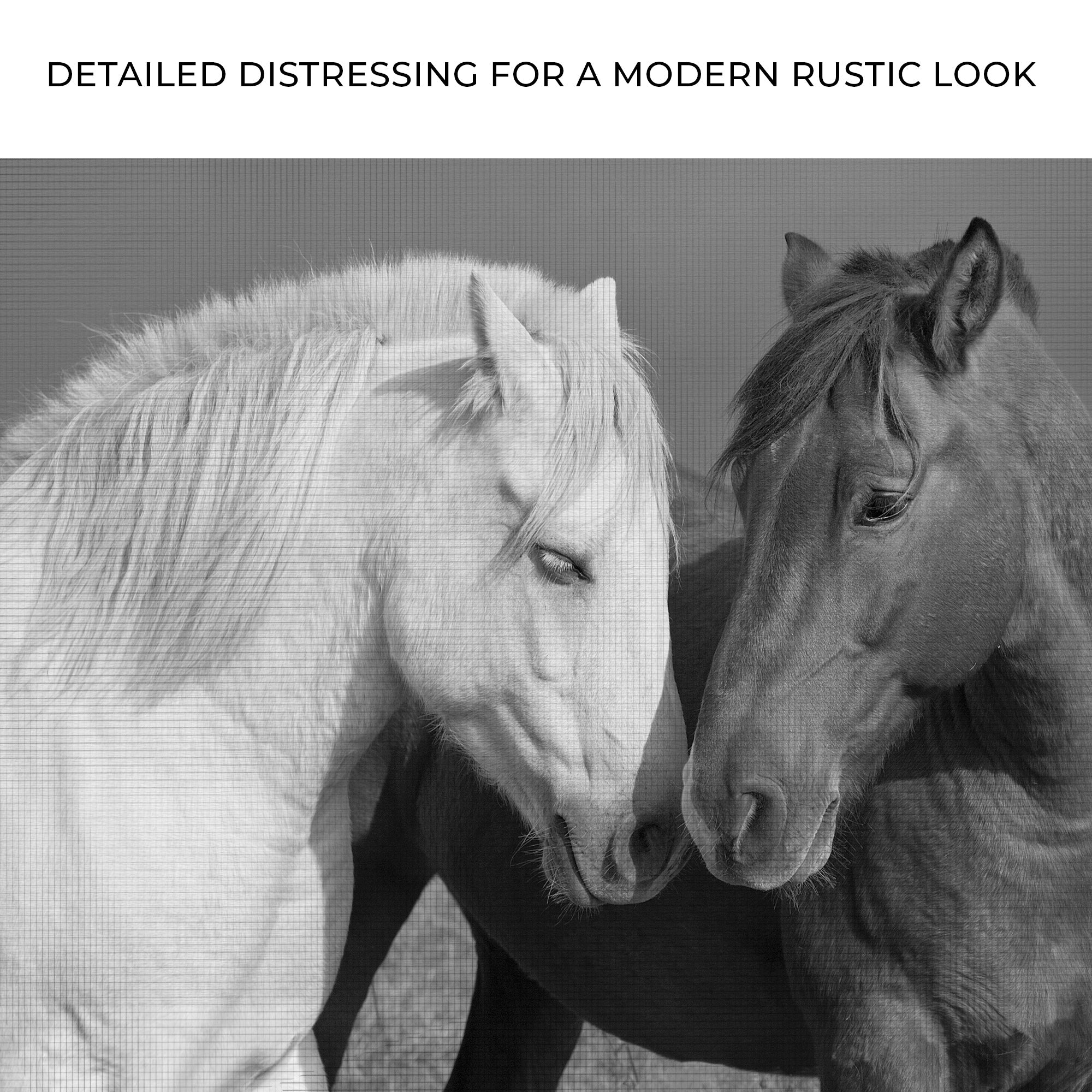 Horse Love Canvas Wall Art on sale at MyriadMart