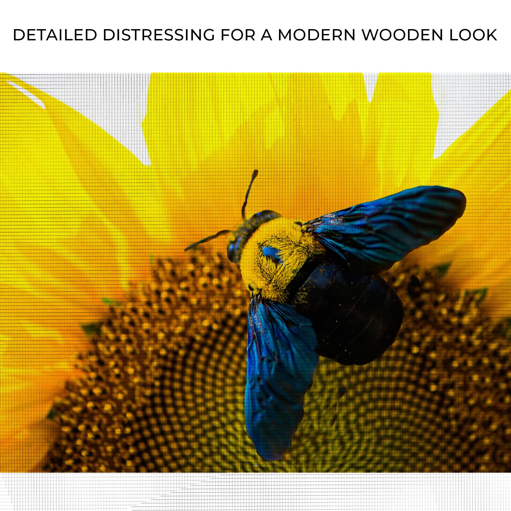 Bee Hoverfly Above A Sunflower Canvas Wall Art on sale at MyriadMart