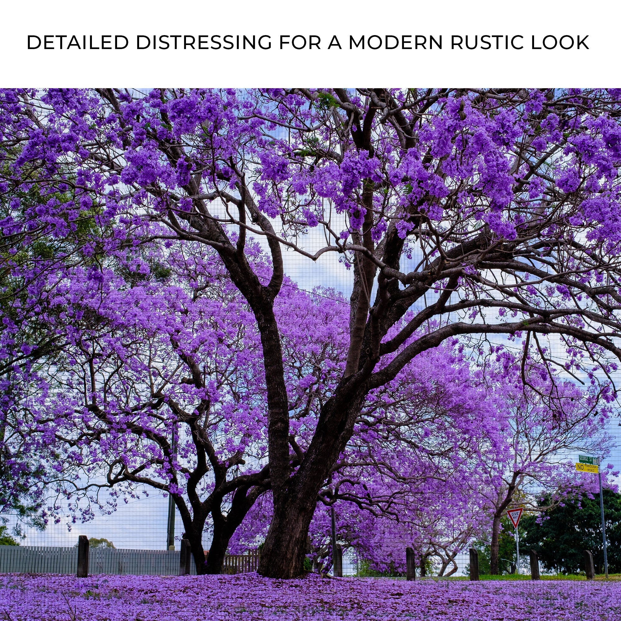 Jacaranda Trees Canvas Wall Art on sale at MyriadMart