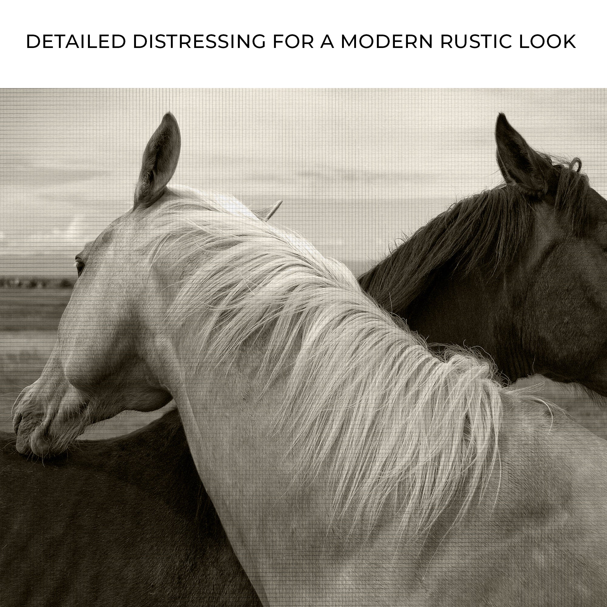 Monochrome Couple Horse Canvas Wall Art on sale at MyriadMart