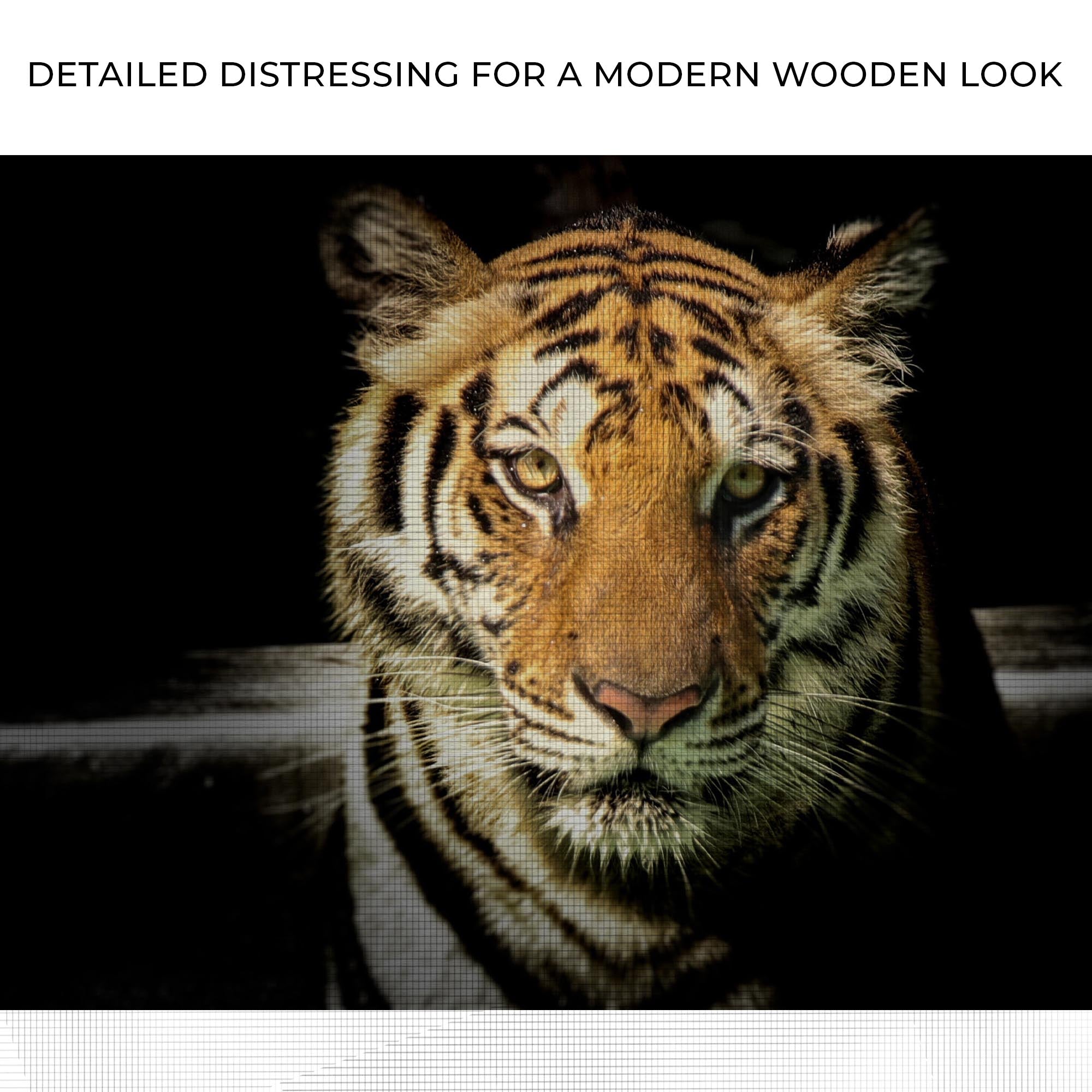 Lurking Tiger In The Dark Canvas Wall Art on sale at MyriadMart
