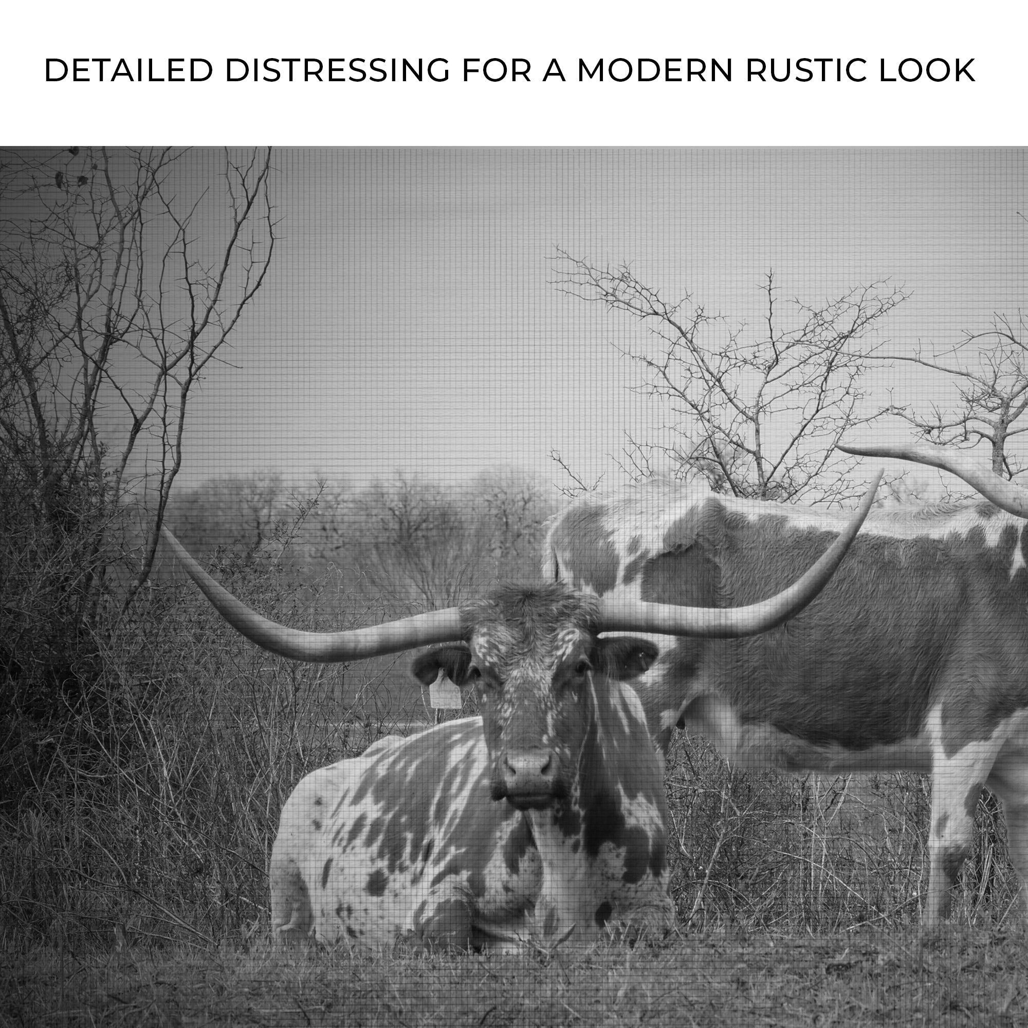 Monochrome Texas Longhorn Cattle Canvas Wall Art on sale at MyriadMart