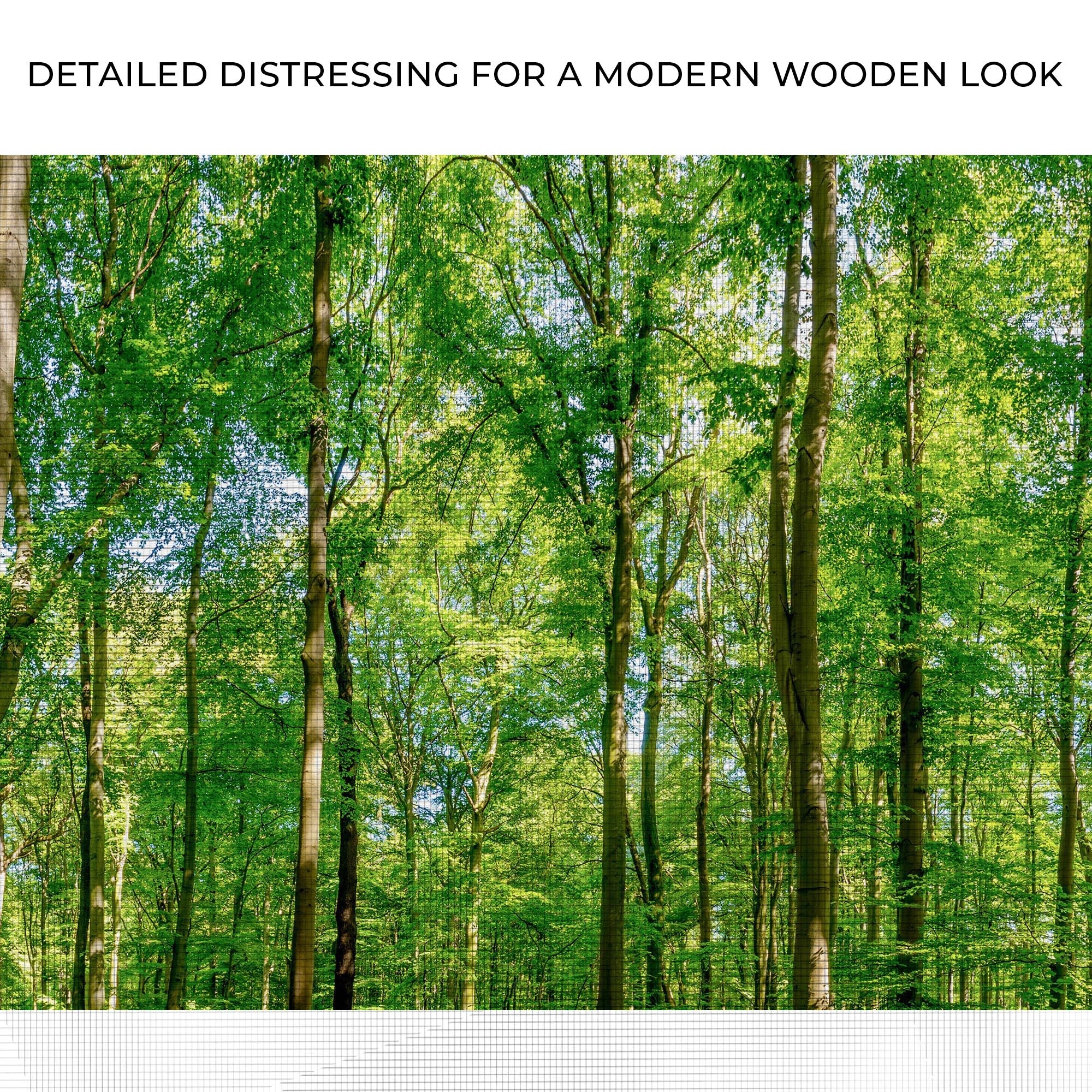 Golden Rays Into The Forest Canvas Wall Art on sale at MyriadMart