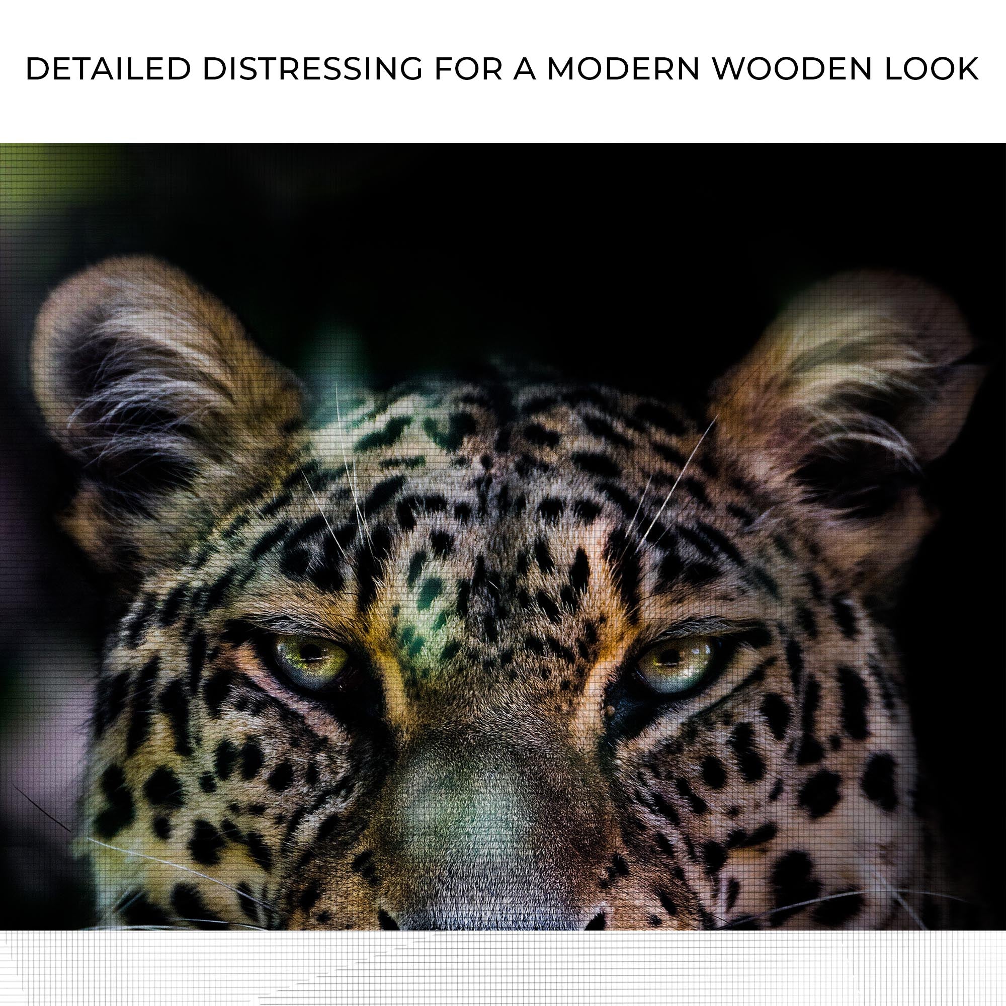 Sneaky Jungle Leopard Portrait Canvas Wall Art on sale at MyriadMart