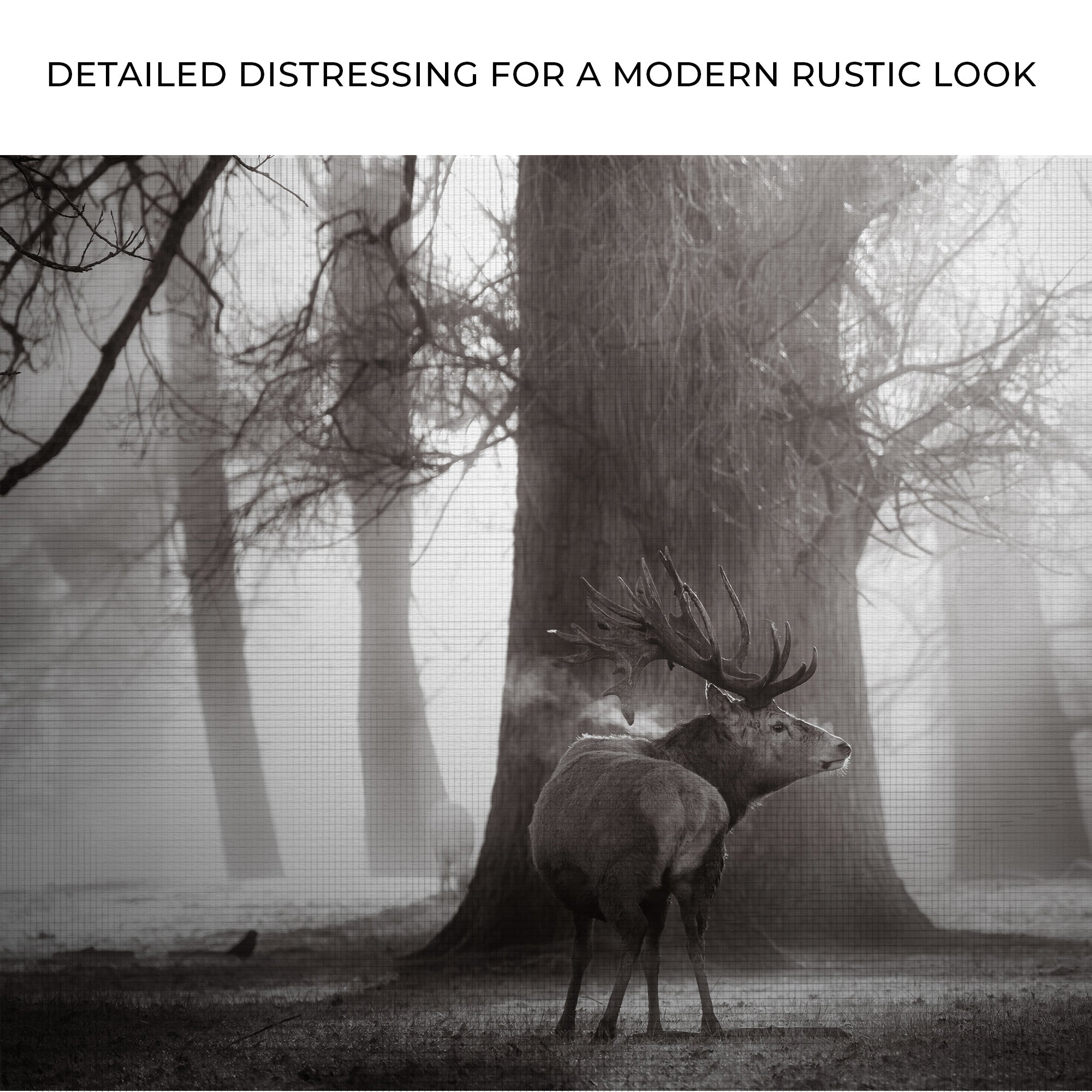 Monochrome Deer Canvas Wall Art on sale at MyriadMart