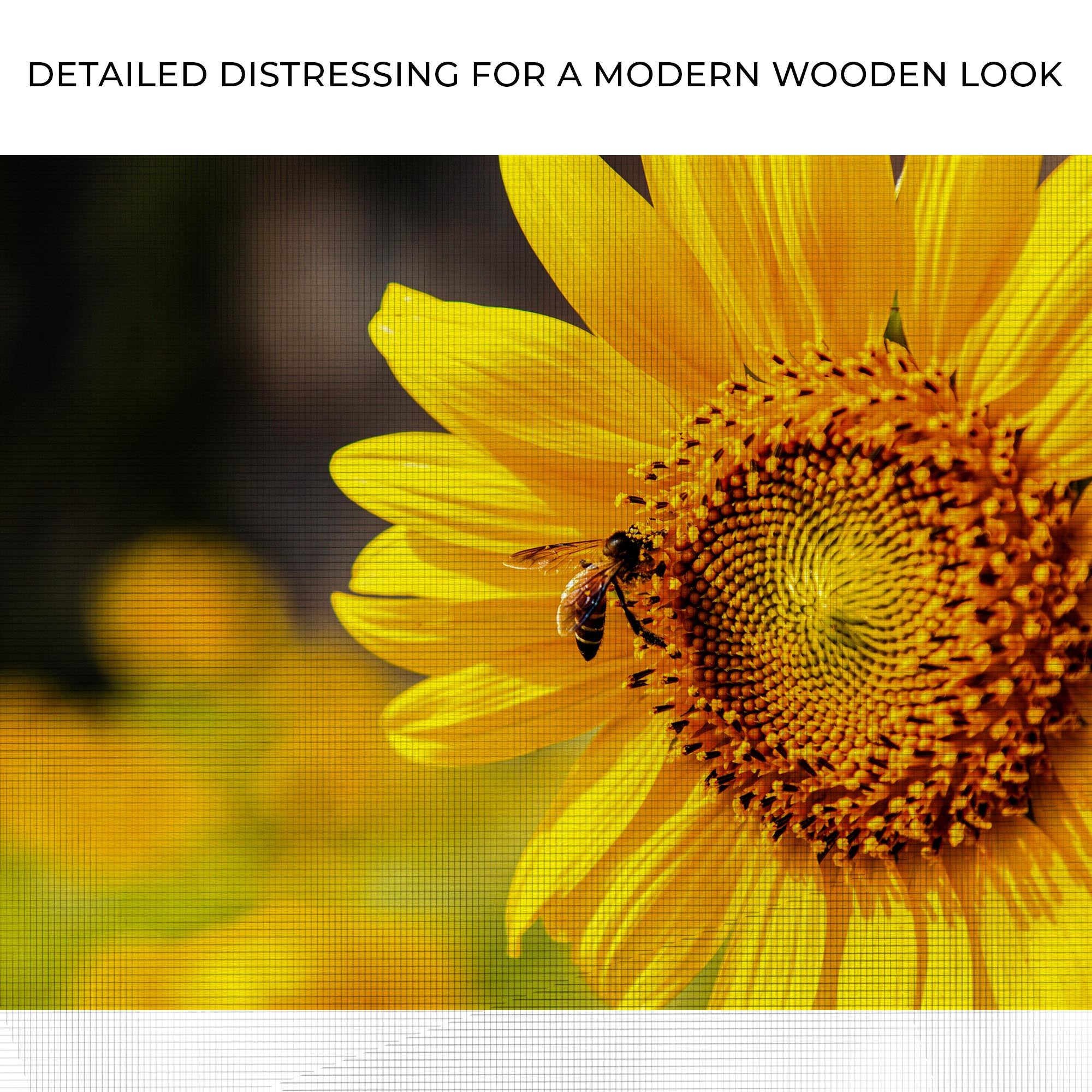 Bee On Sunflower Canvas Wall Art on sale at MyriadMart