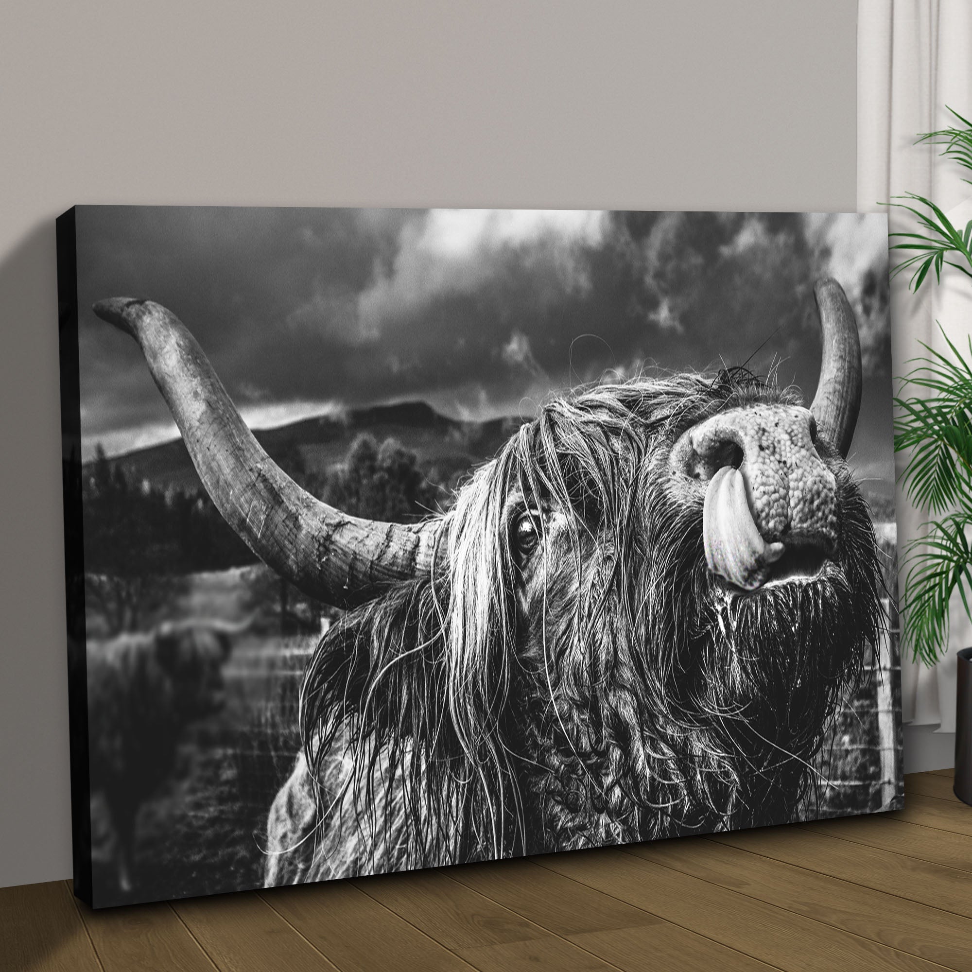 West Highland Cow Monochrome Canvas Wall Art on sale at MyriadMart