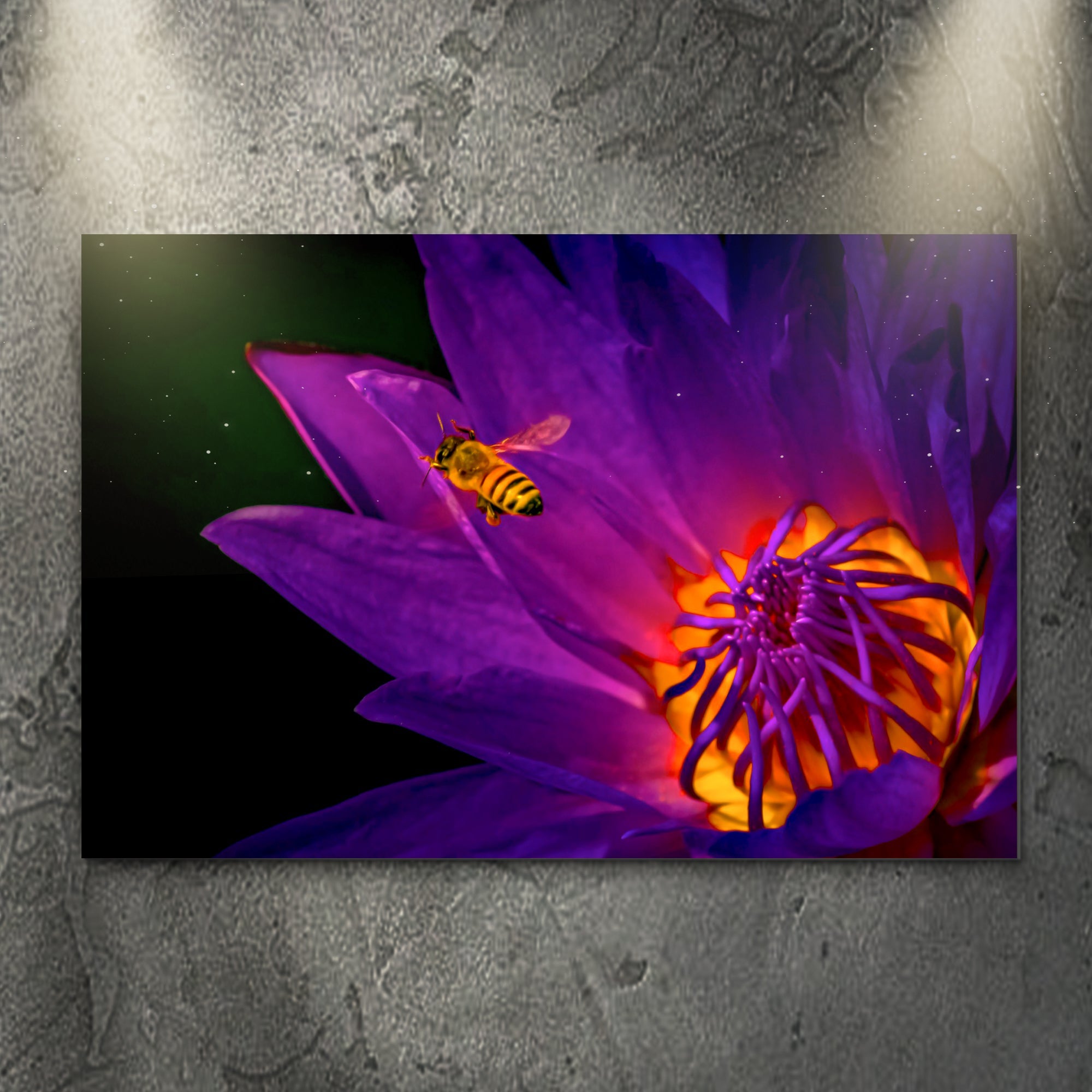 Dramatic Bee On Purple Flower Canvas Wall Art on sale at MyriadMart