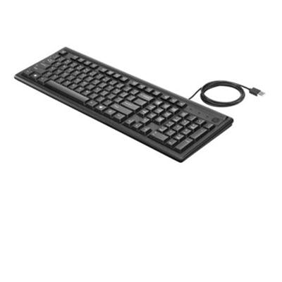 HP Keyboard 100