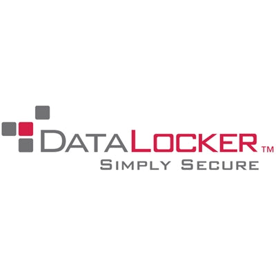 DataLocker H350 Basic 500 GB