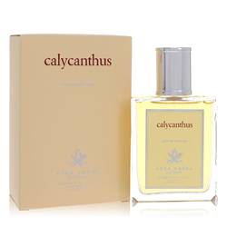 Calycanthus Eau De Parfum Spray By Acca Kappa