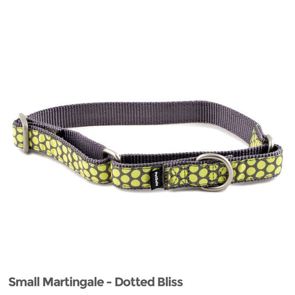 PetSafe Fido Finery Martingale Style Collar (3/4 Small, Dotted Bliss) - MyriadMart