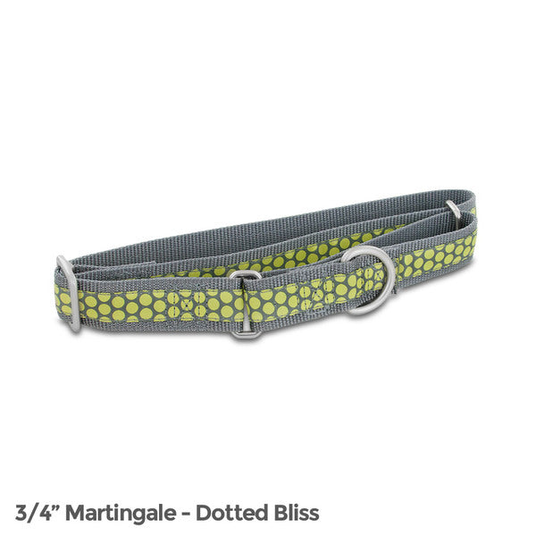 PetSafe Fido Finery Martingale Style Collar (3/4 Medium, Dotted Bliss) - MyriadMart