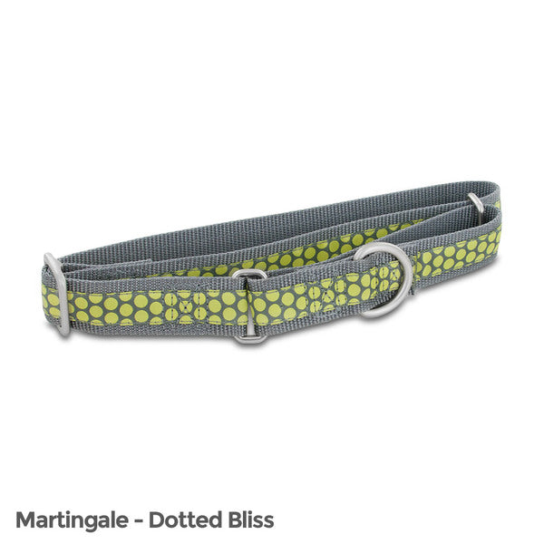 PetSafe Fido Finery Martingale Style Collar (1 Large, Dotted Bliss) - MyriadMart