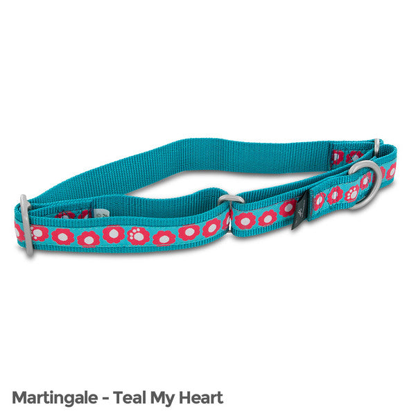 PetSafe Fido Finery Martingale Style Collar (1 Large, Teal My Heart) - MyriadMart